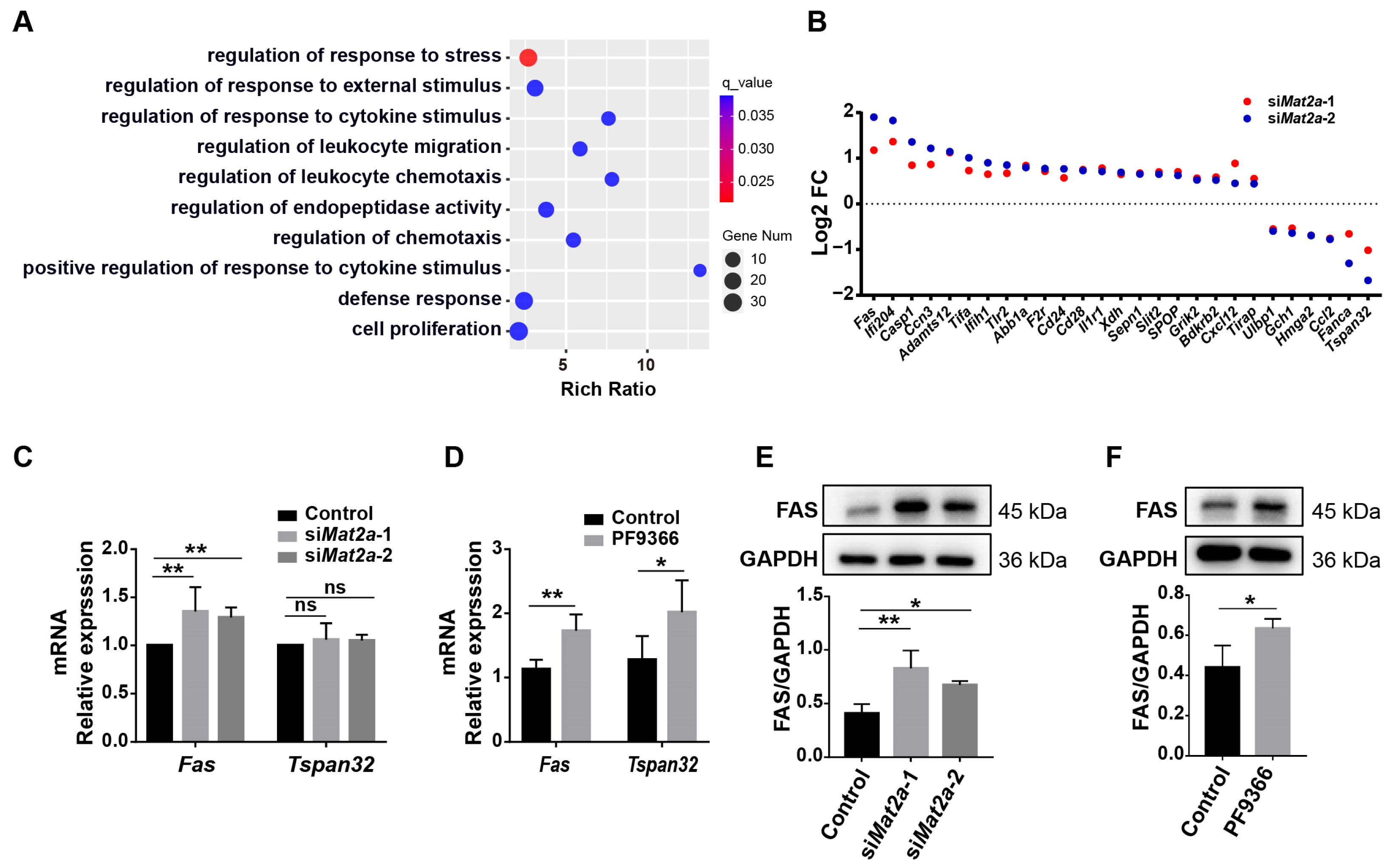 Biomolecules 14 01098 g005