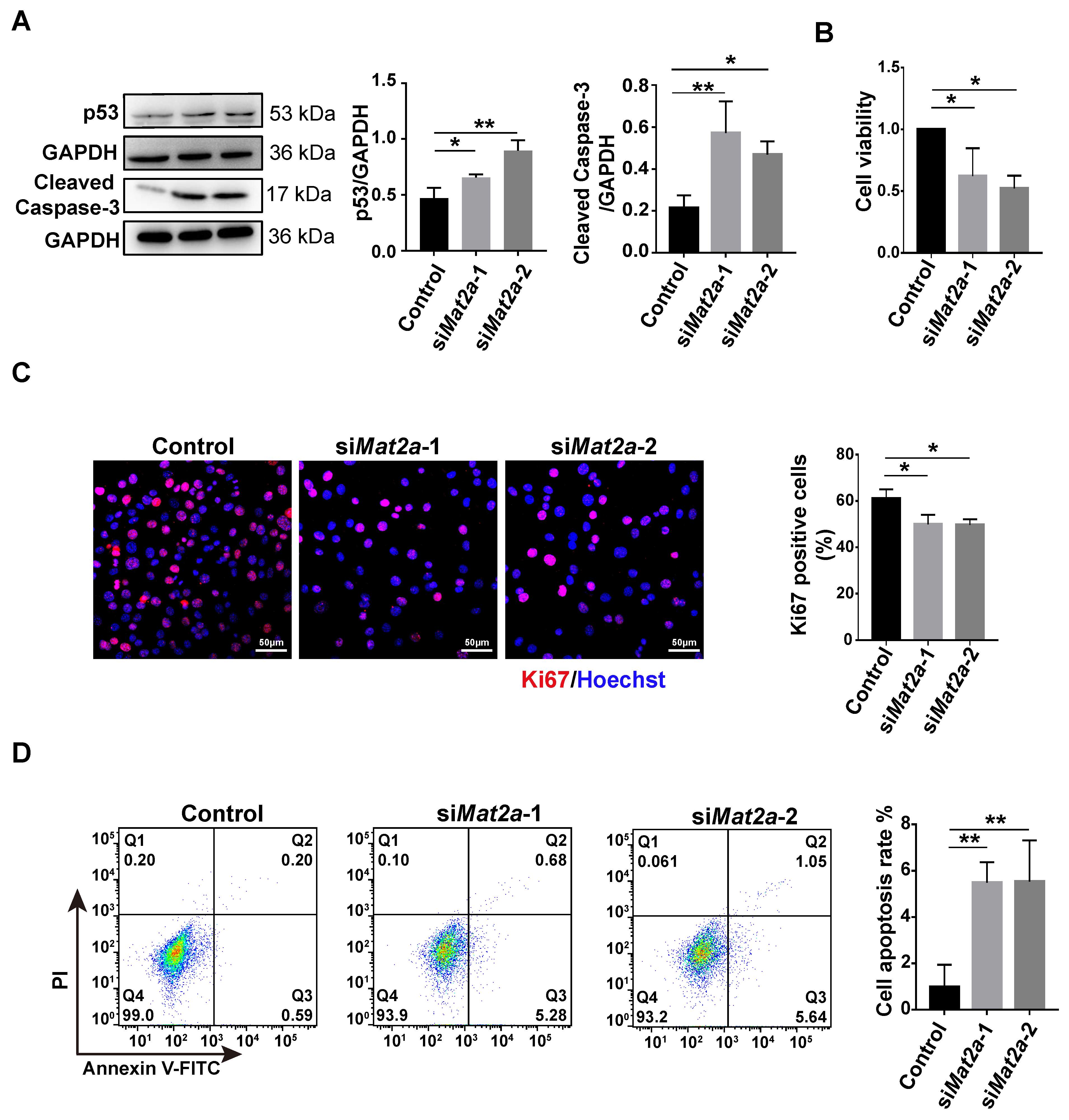 Biomolecules 14 01098 g006