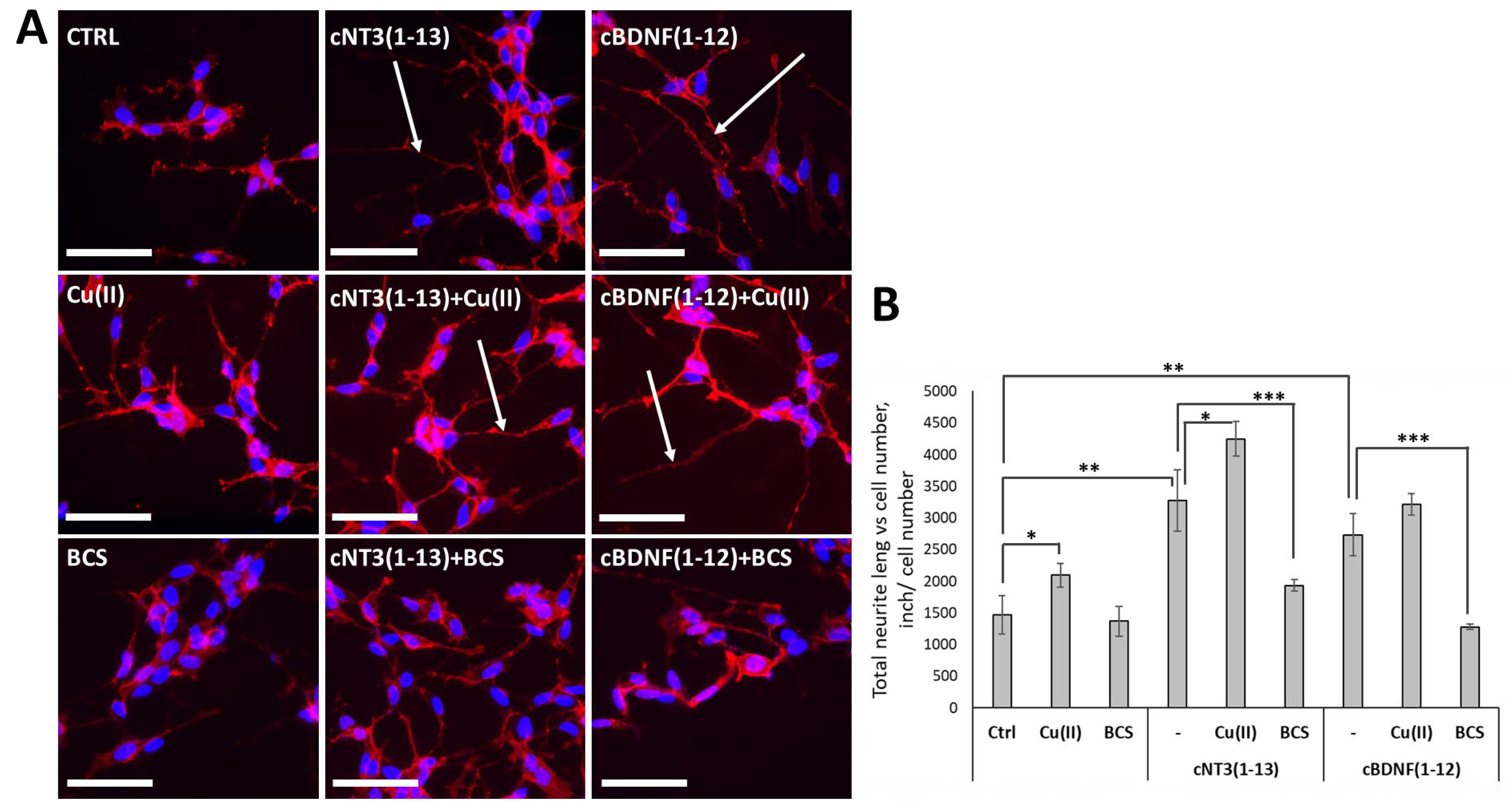 Biomolecules 14 01104 g003