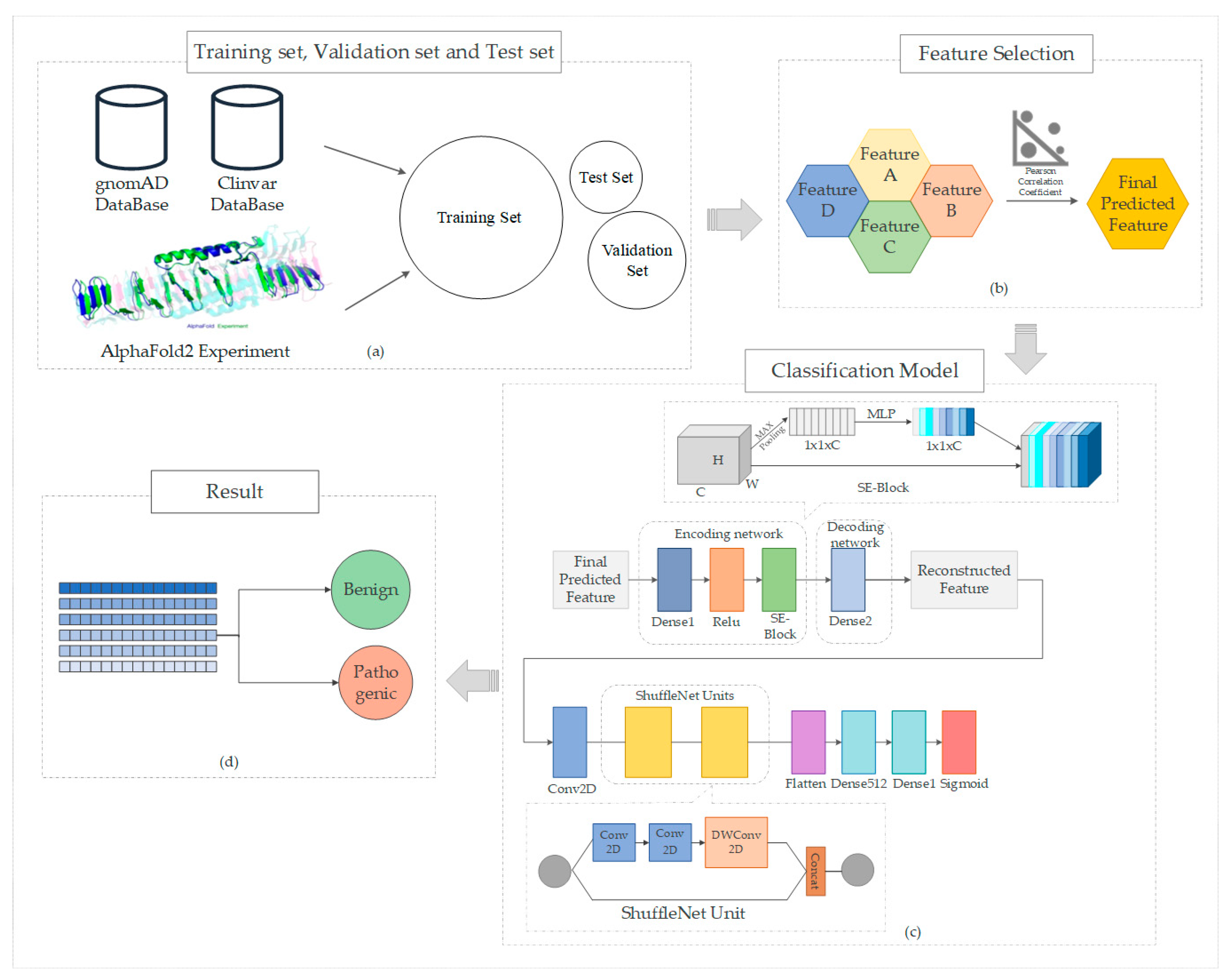 Biomolecules 14 01105 g001 Biomolecules 14 01105 g001
