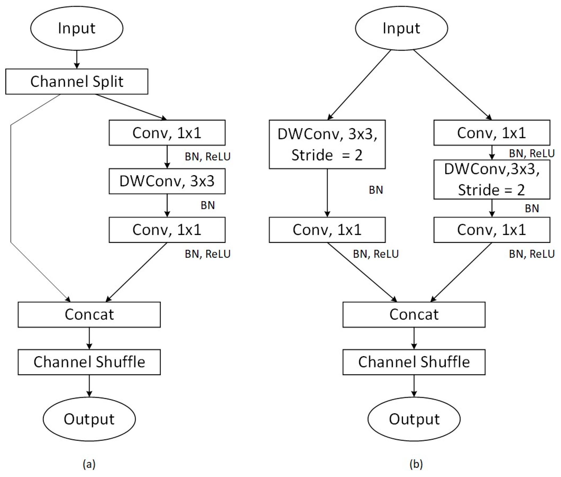 Biomolecules 14 01105 g002 Biomolecules 14 01105 g002
