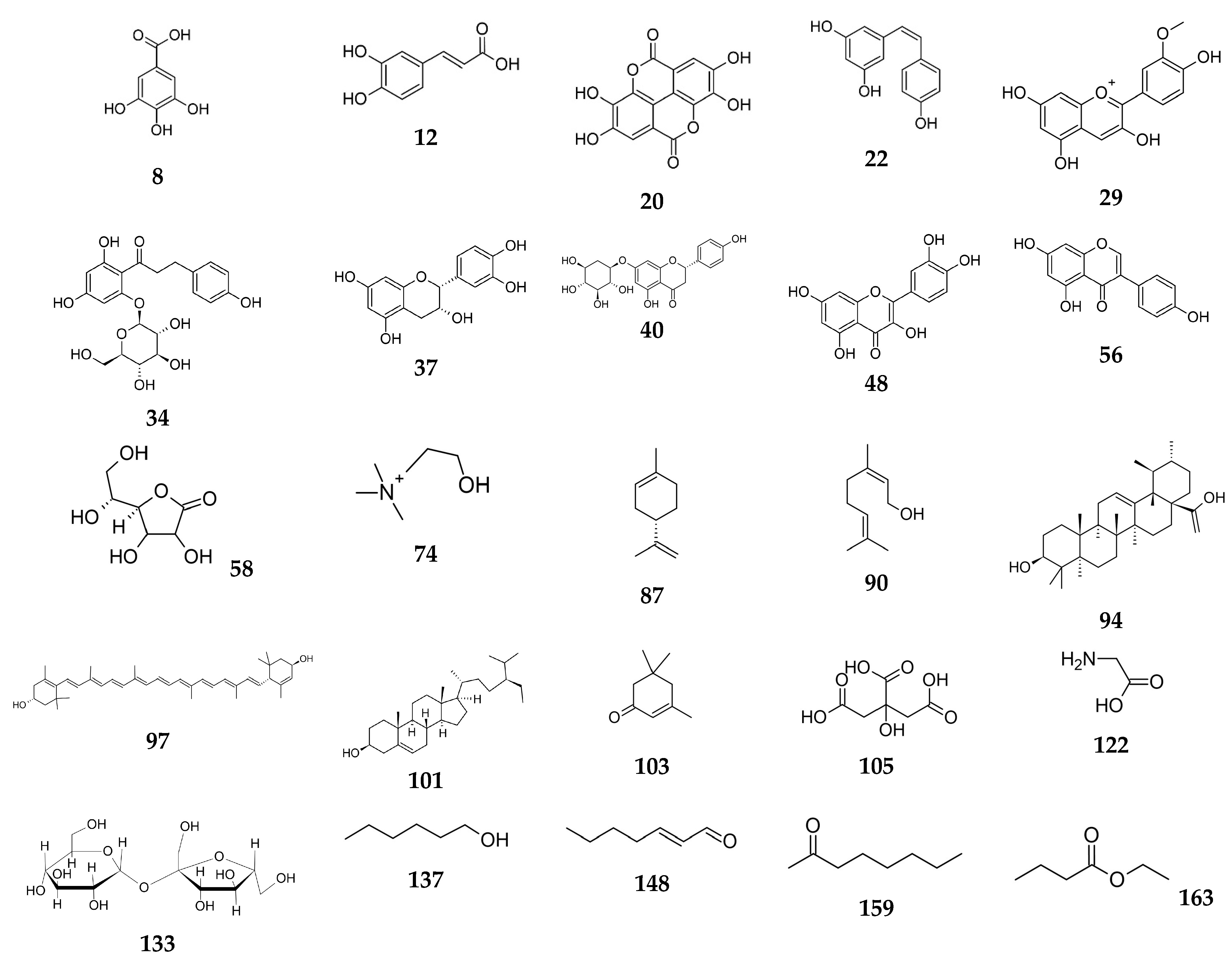 Biomolecules 14 01110 g001