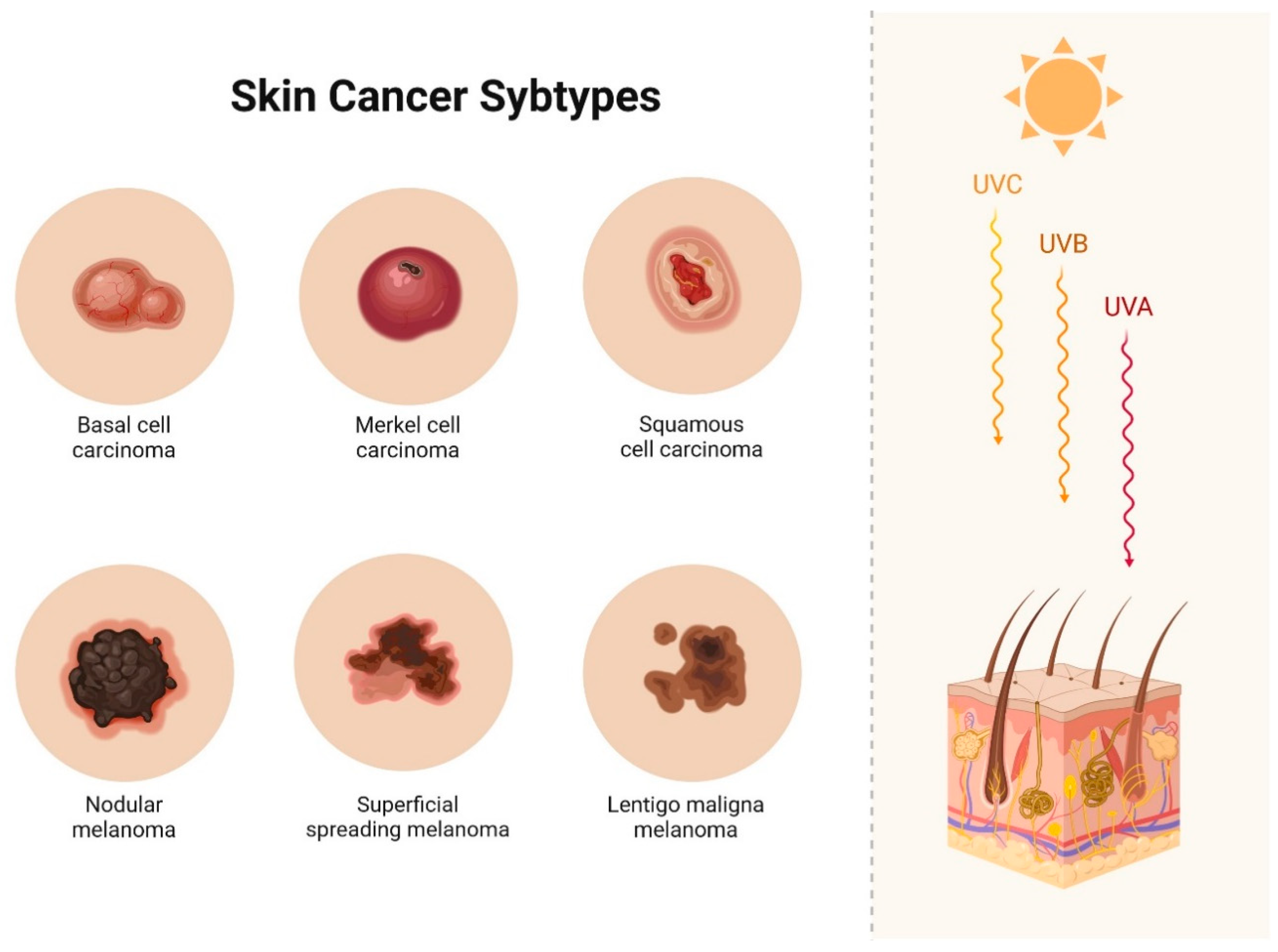 Biomolecules 14 01110 g002