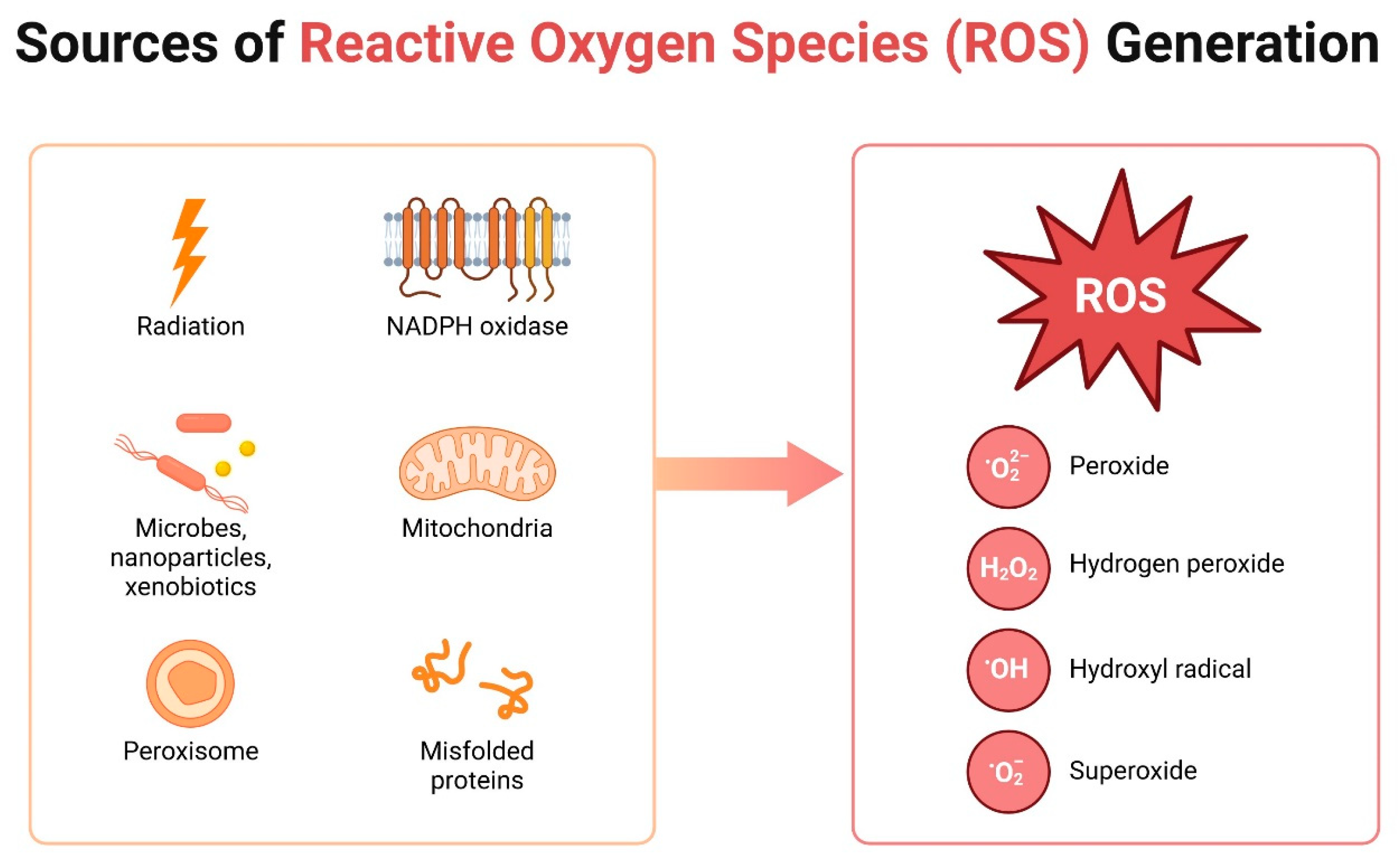 Biomolecules 14 01110 g004
