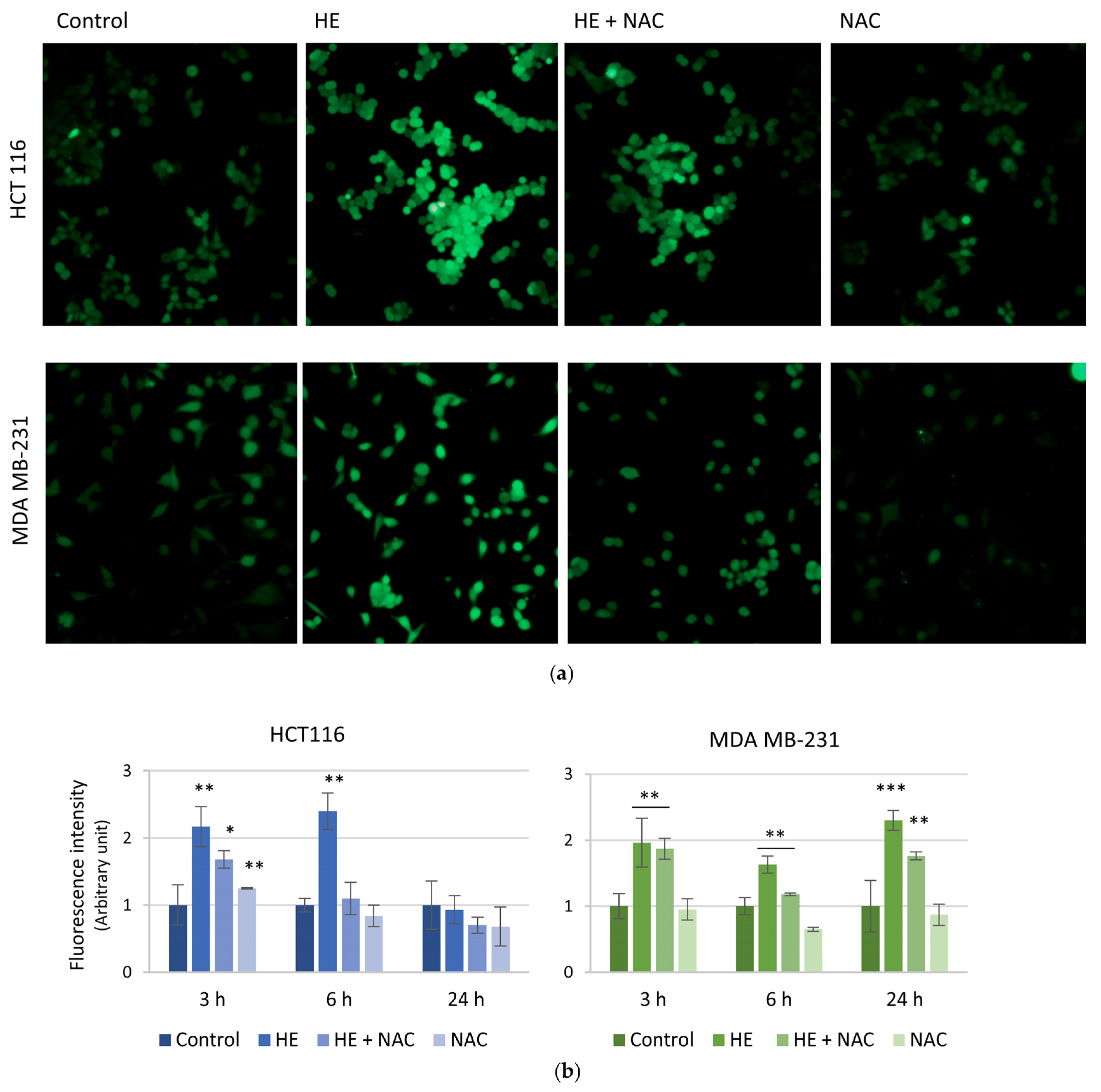 Biomolecules 14 01111 g005
