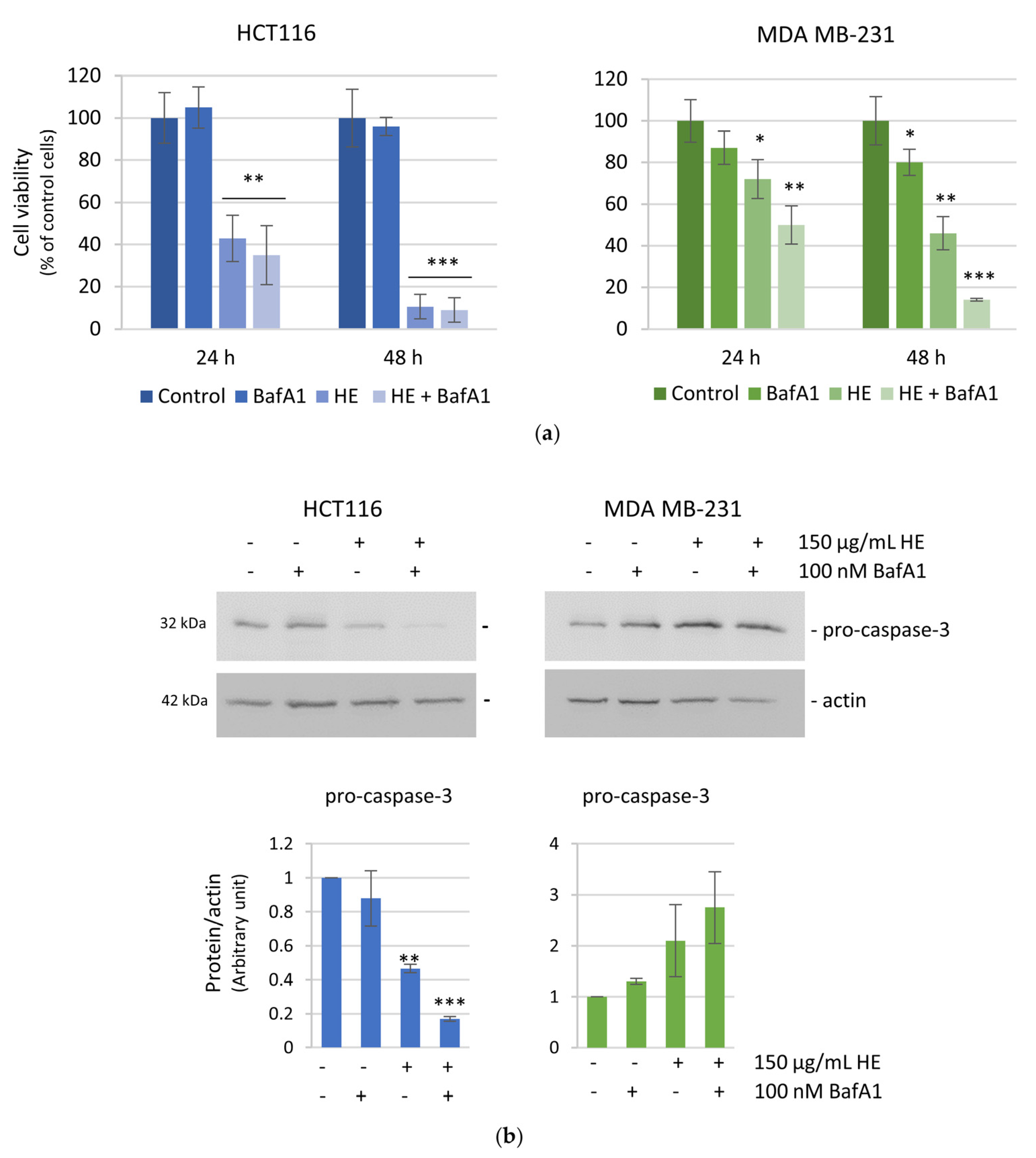 Biomolecules 14 01111 g010