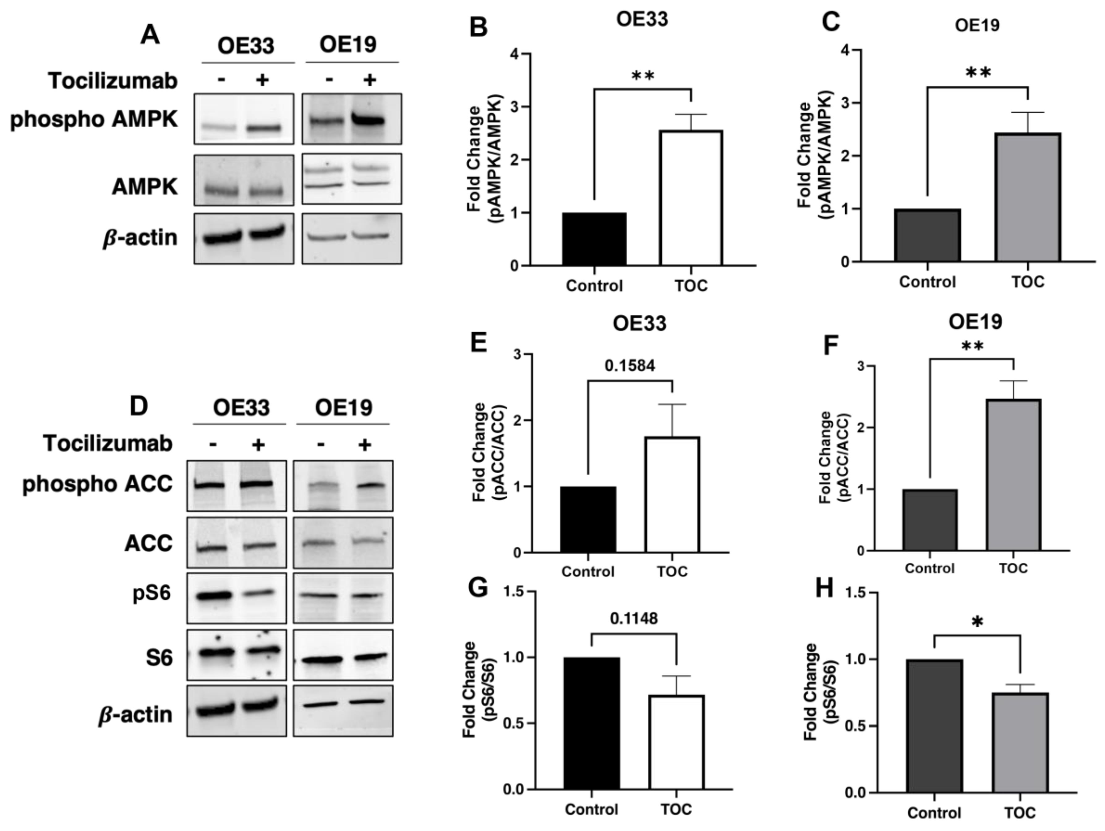 Biomolecules 14 01115 g001