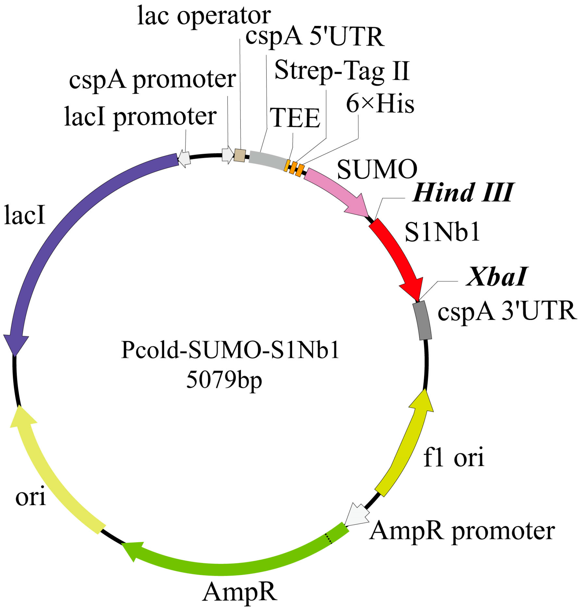Biomolecules 14 01116 g001