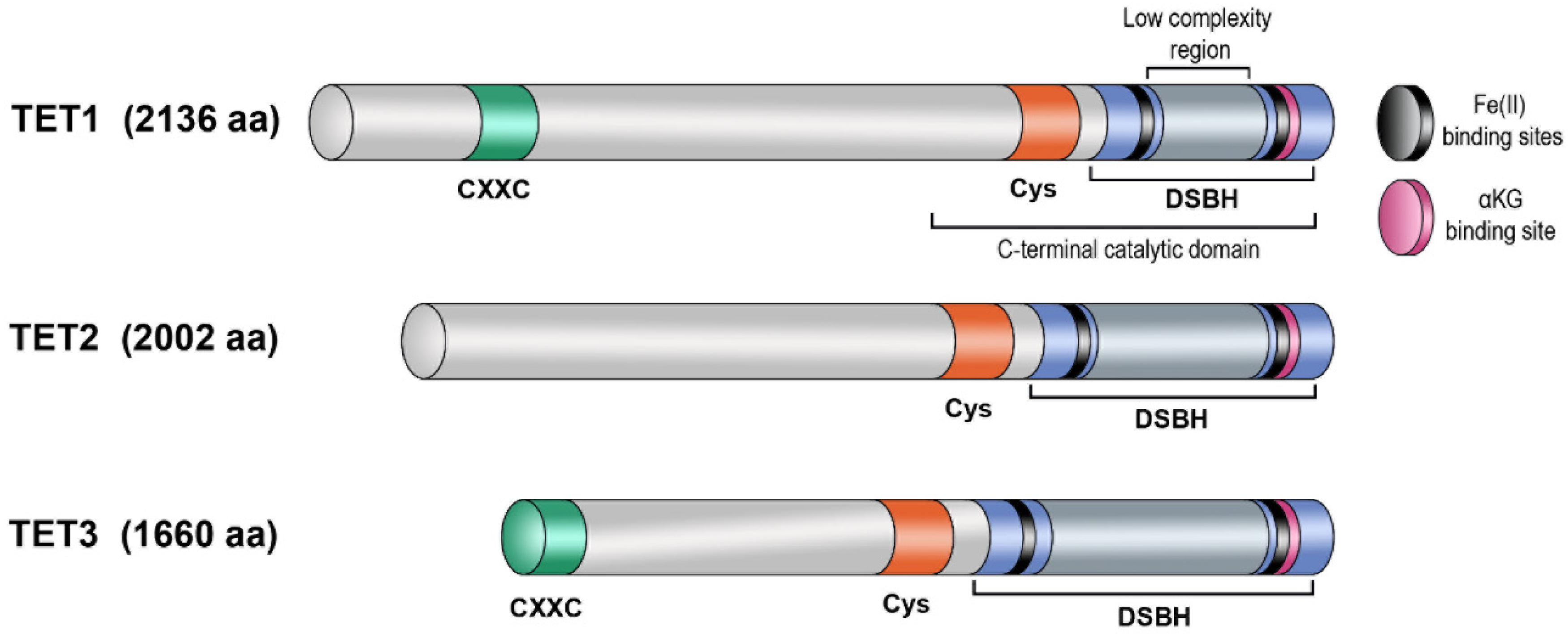 Biomolecules 14 01117 g002 Biomolecules 14 01117 g002