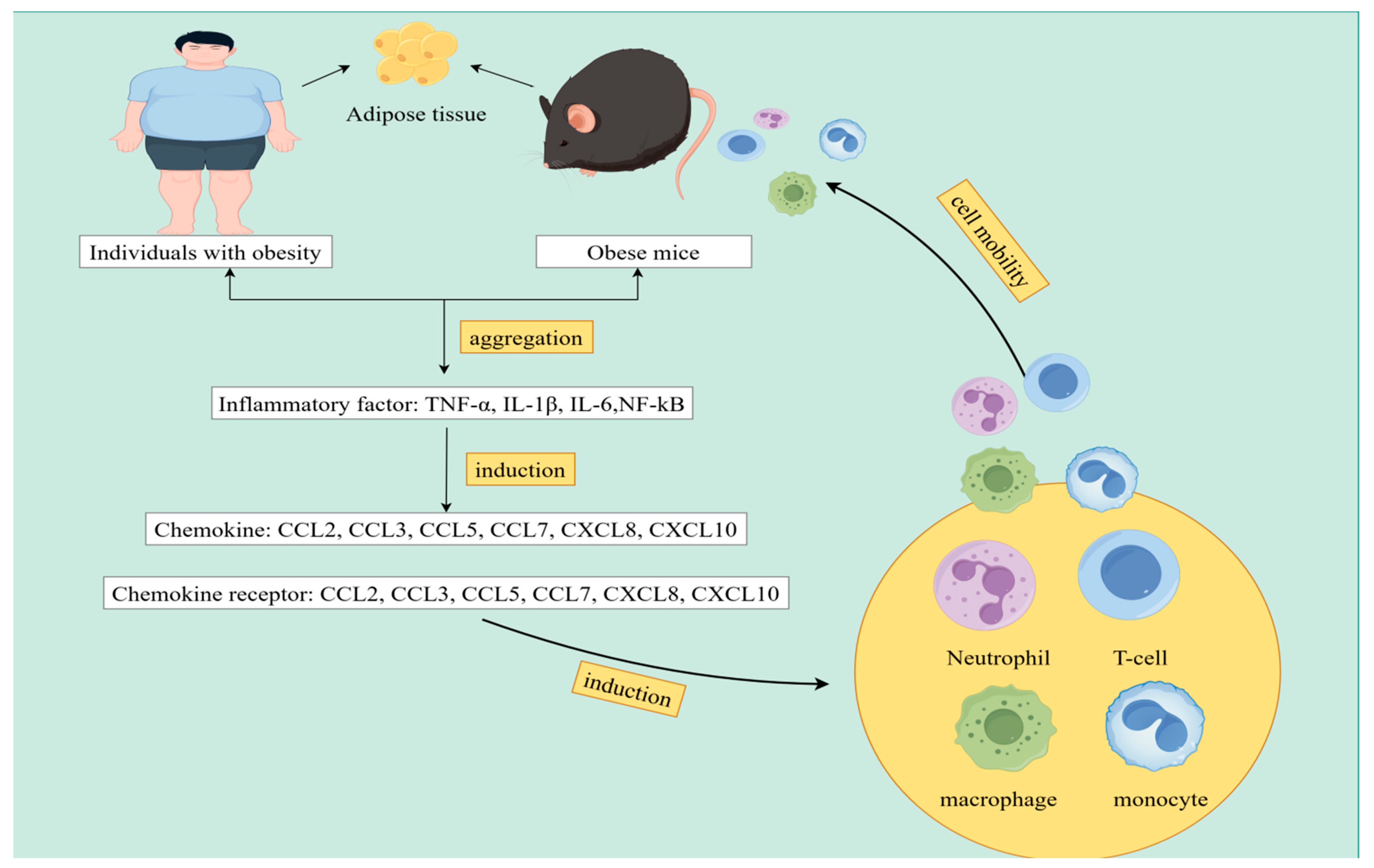 Biomolecules 14 01121 g001 Biomolecules 14 01121 g001