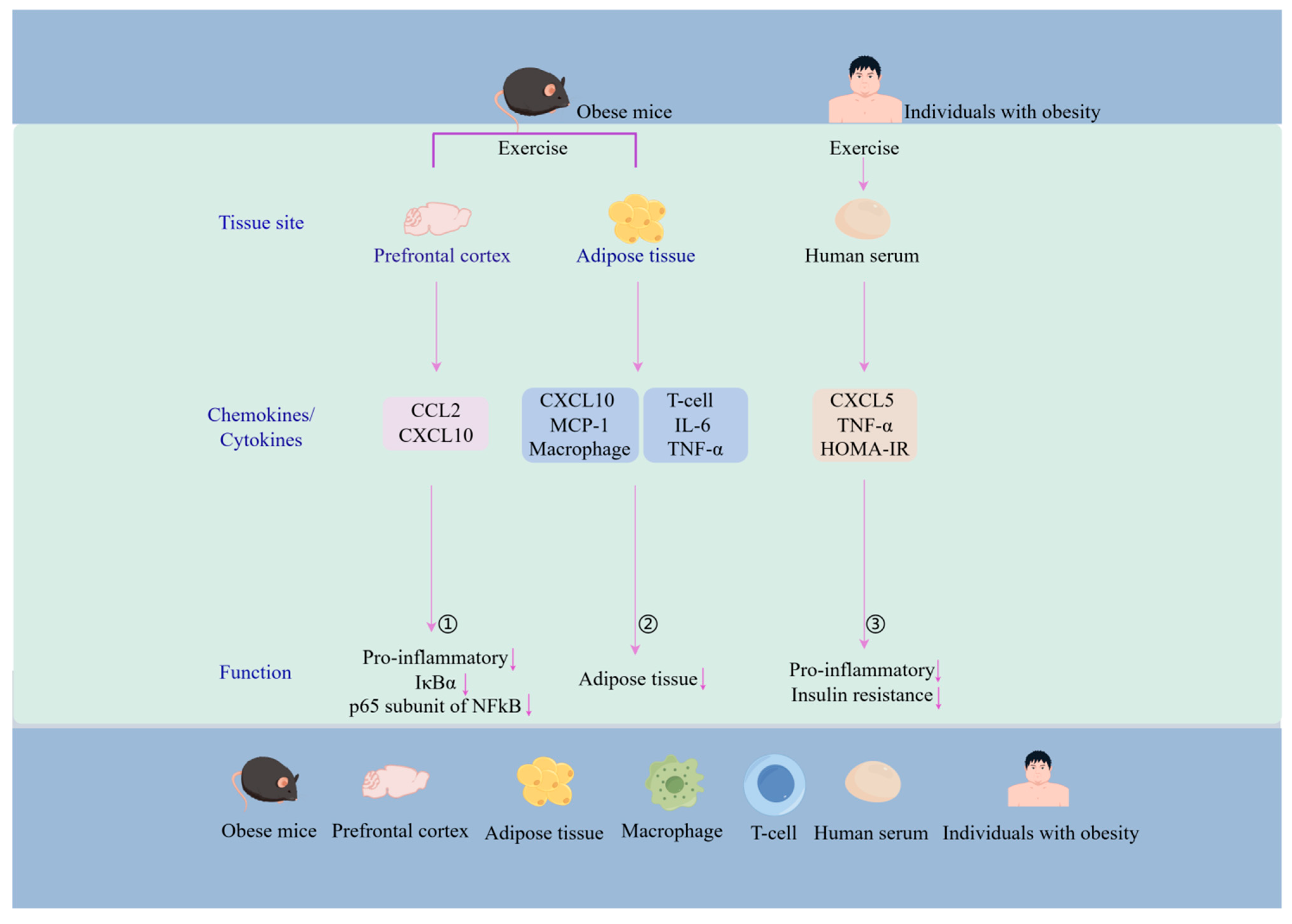 Biomolecules 14 01121 g003 Biomolecules 14 01121 g003