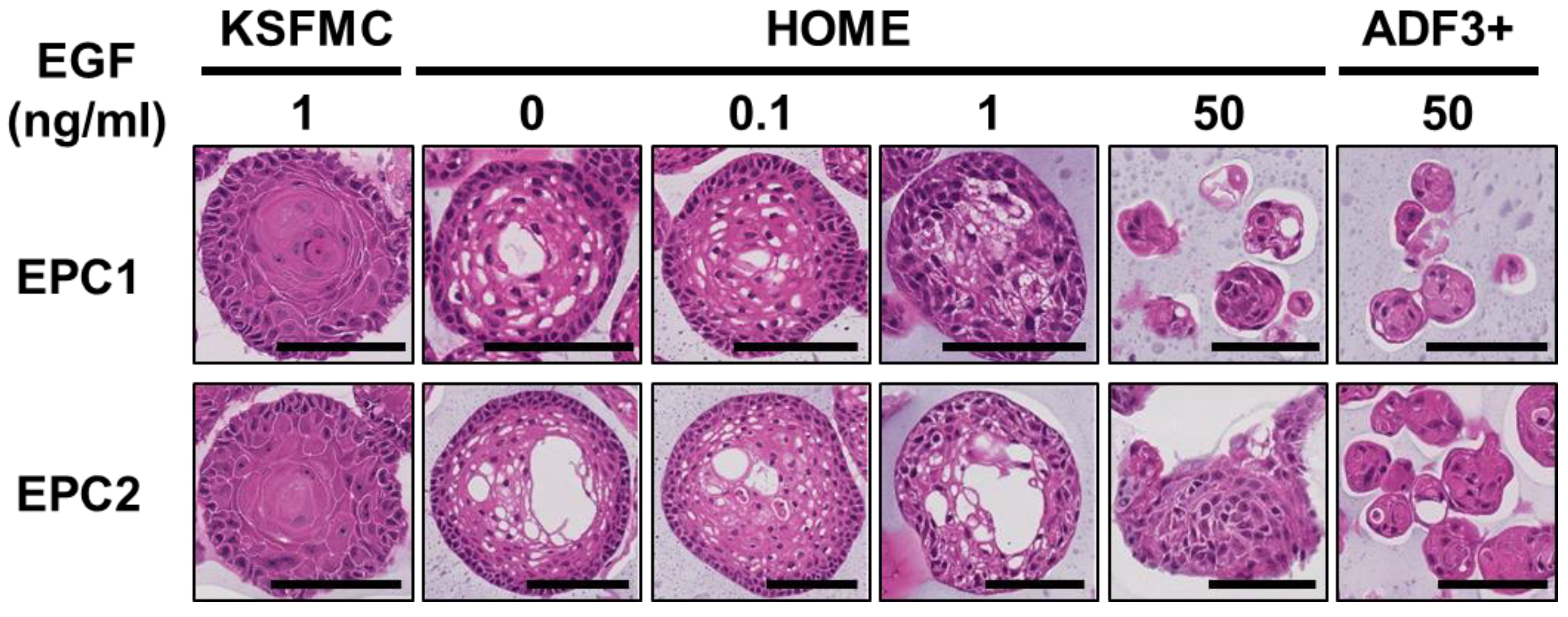 Biomolecules 14 01126 g002