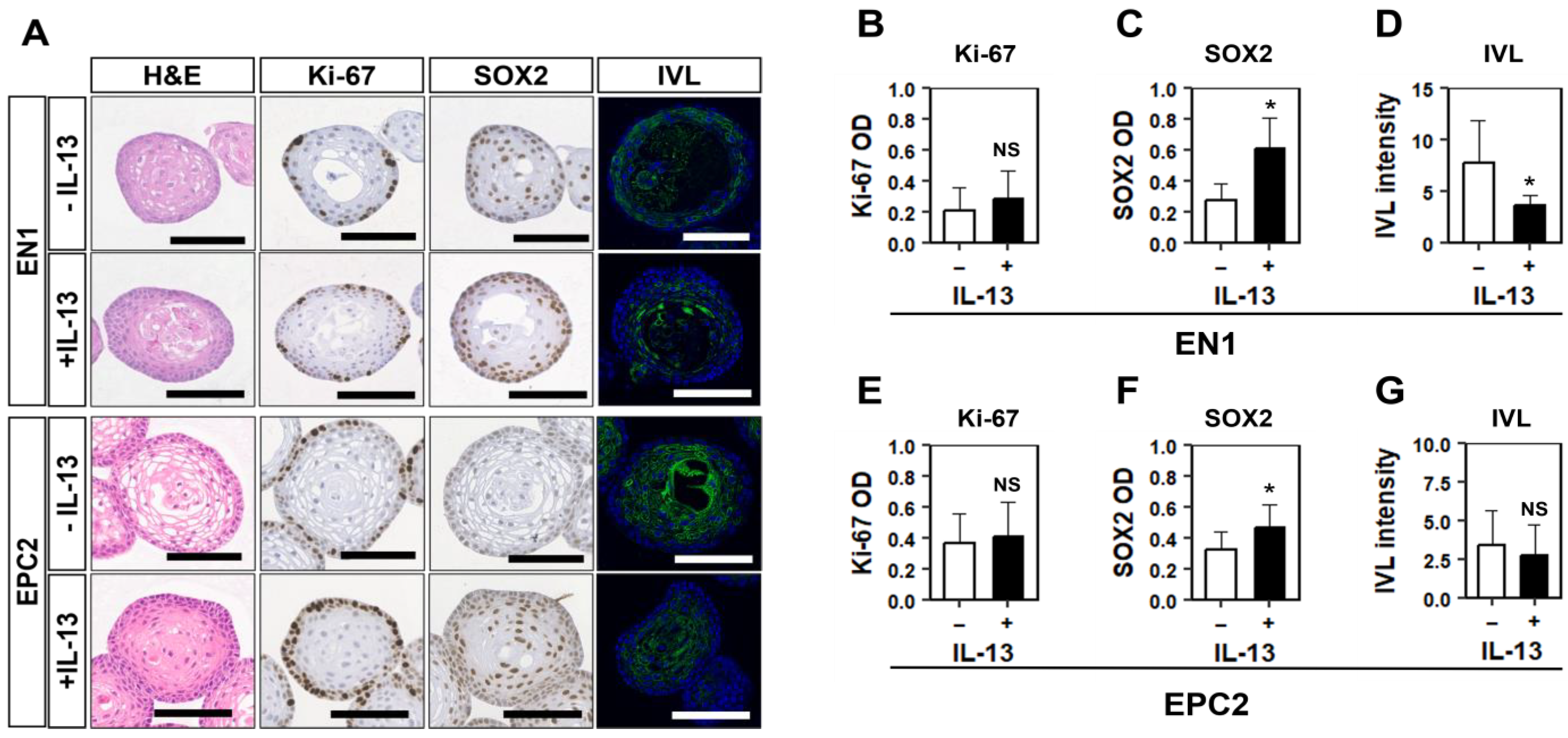 Biomolecules 14 01126 g005