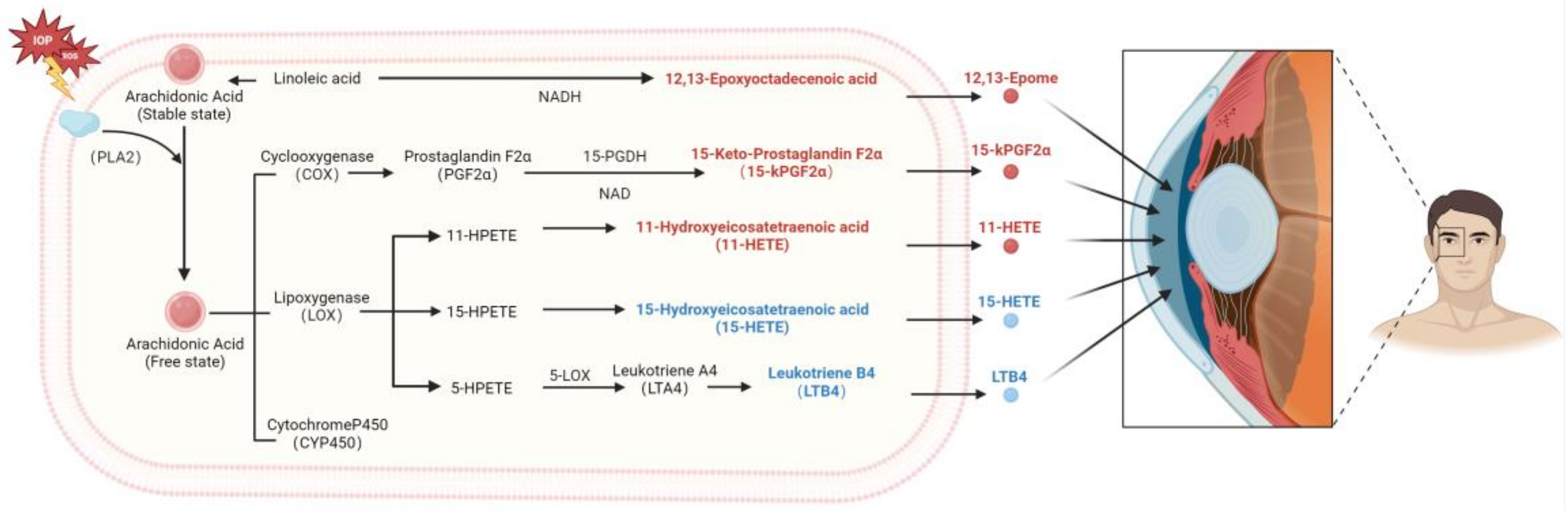 Biomolecules 14 01127 g005
