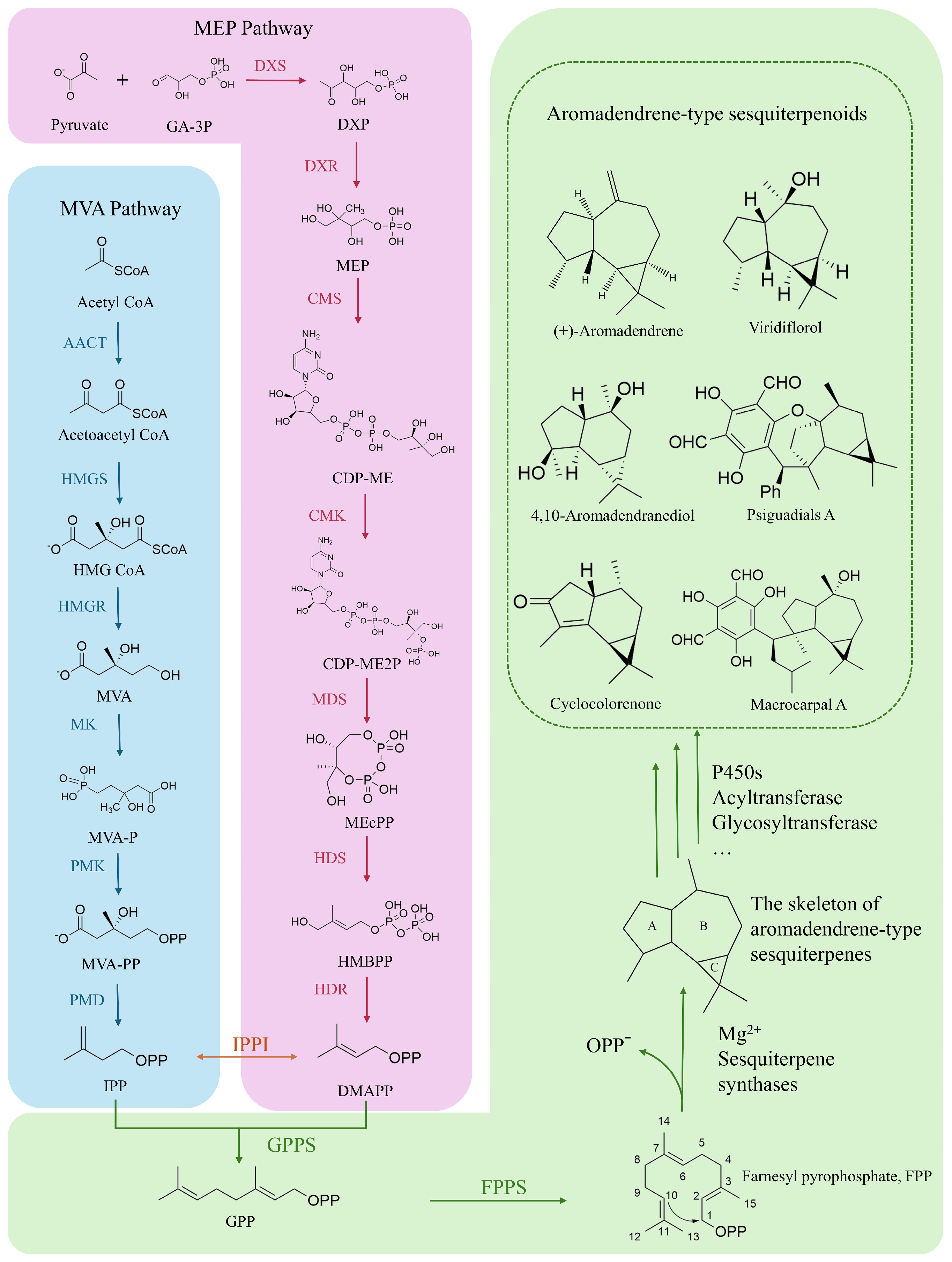 Biomolecules 14 01133 g001 Biomolecules 14 01133 g001