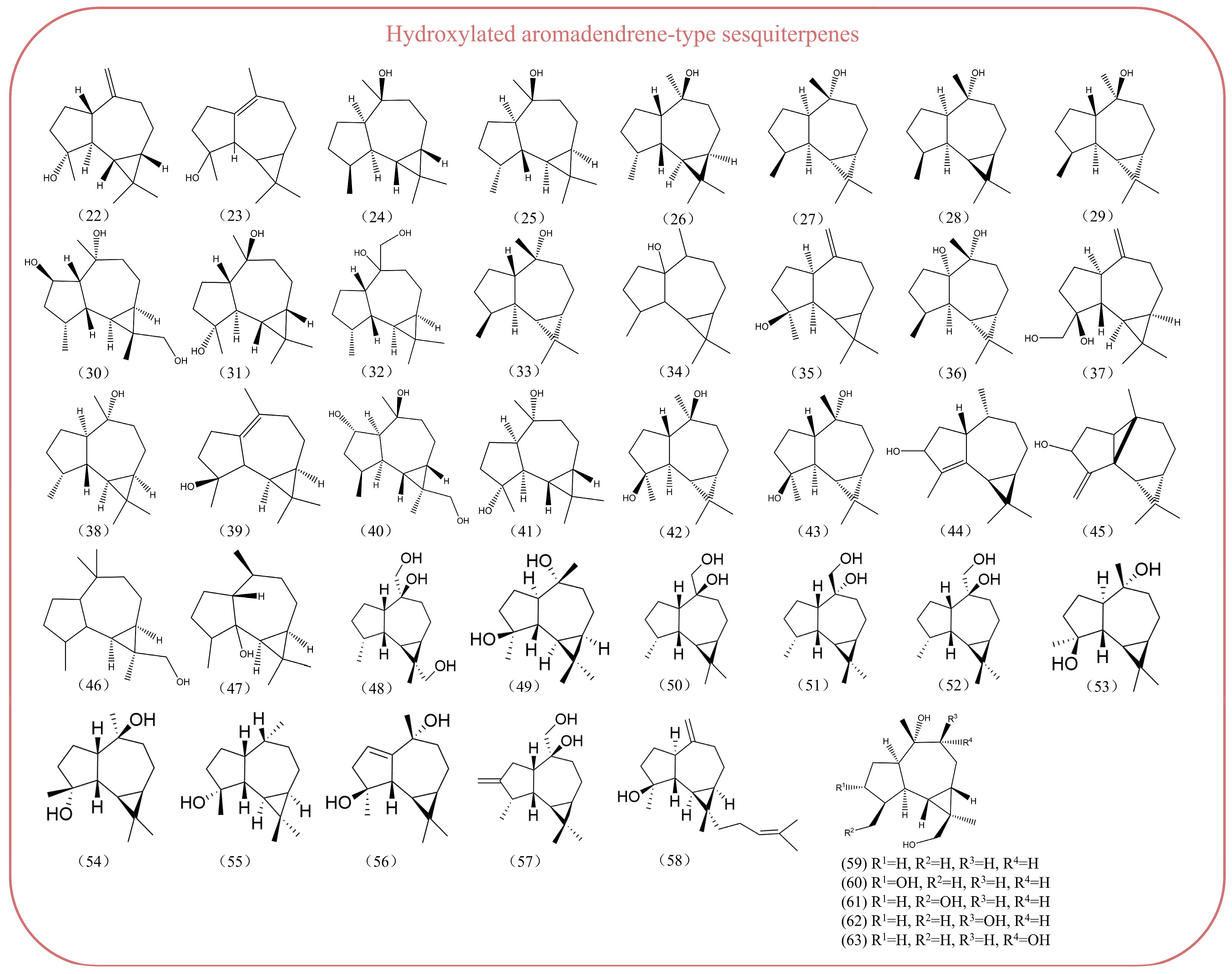 Biomolecules 14 01133 g002b Biomolecules 14 01133 g002b