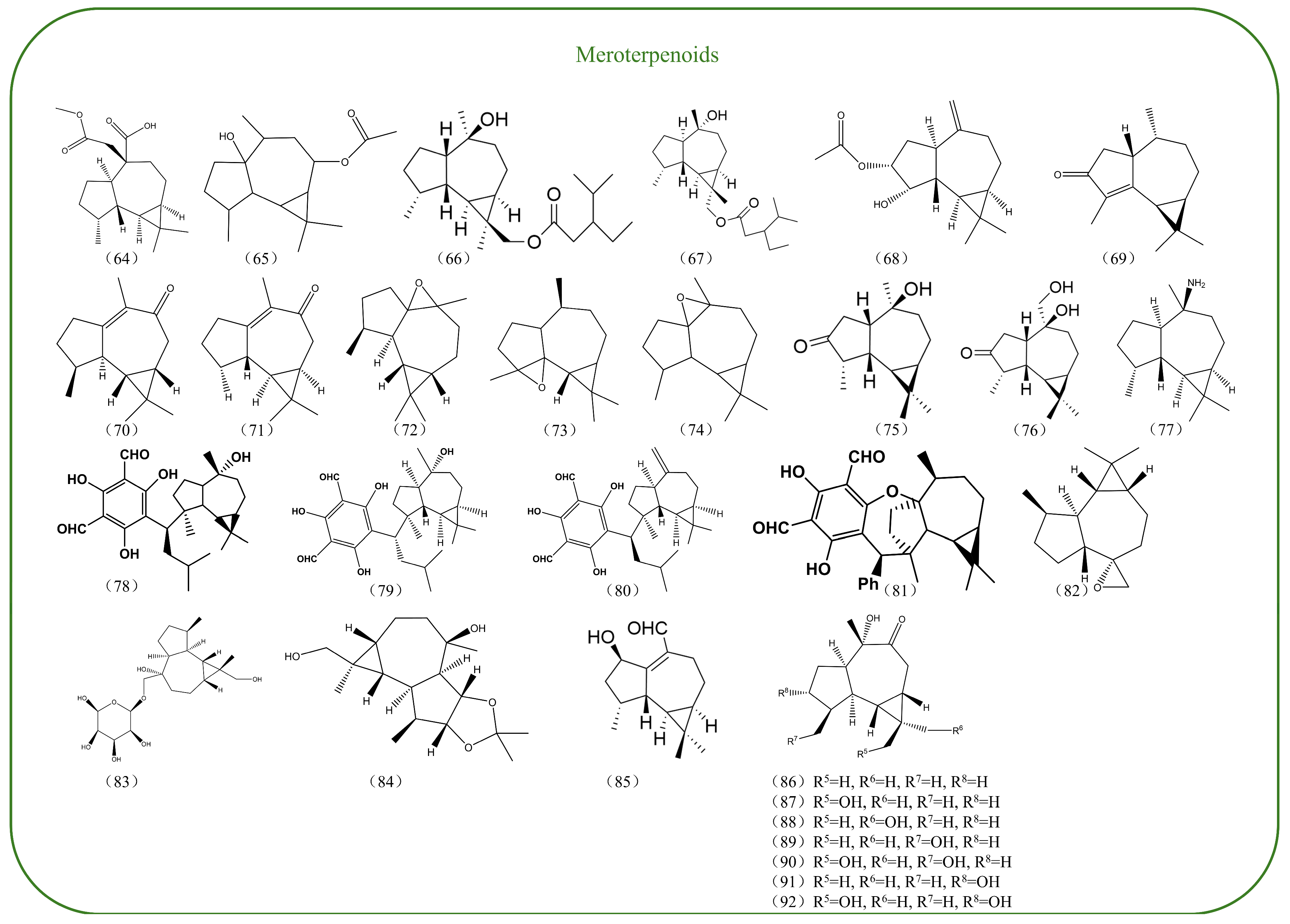 Biomolecules 14 01133 g002c Biomolecules 14 01133 g002c