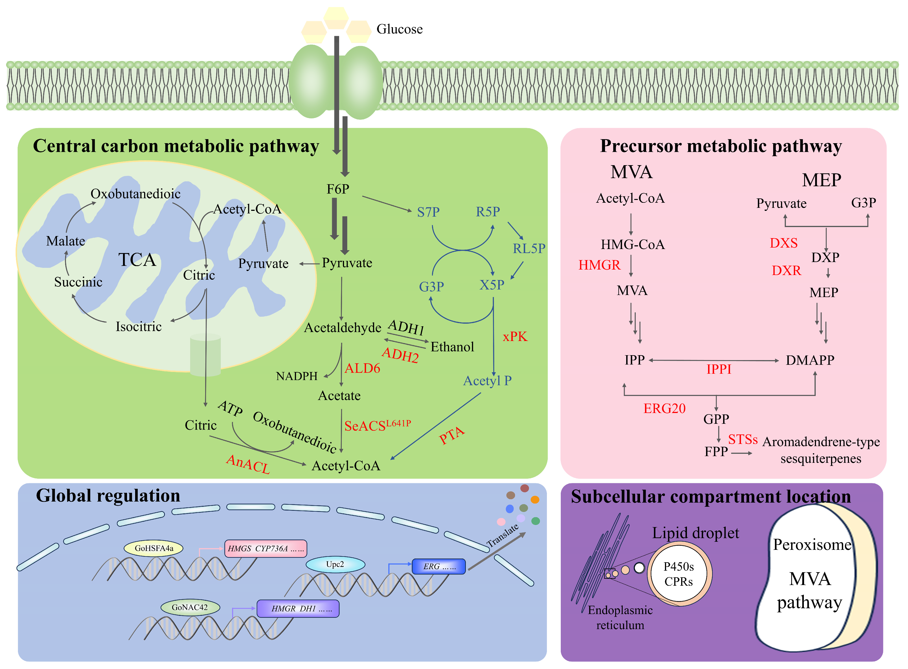 Biomolecules 14 01133 g003 Biomolecules 14 01133 g003