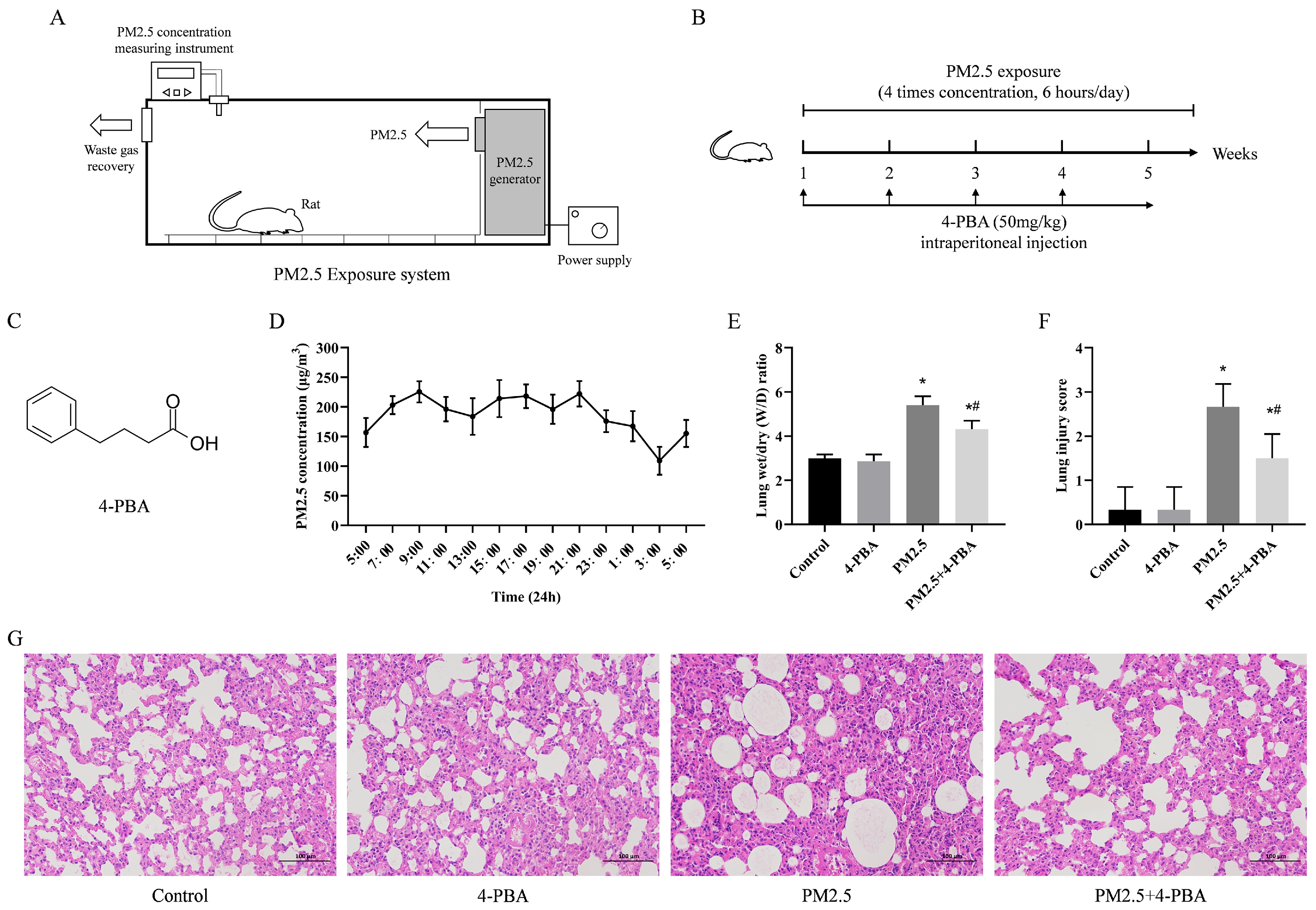 Biomolecules 14 01135 g001