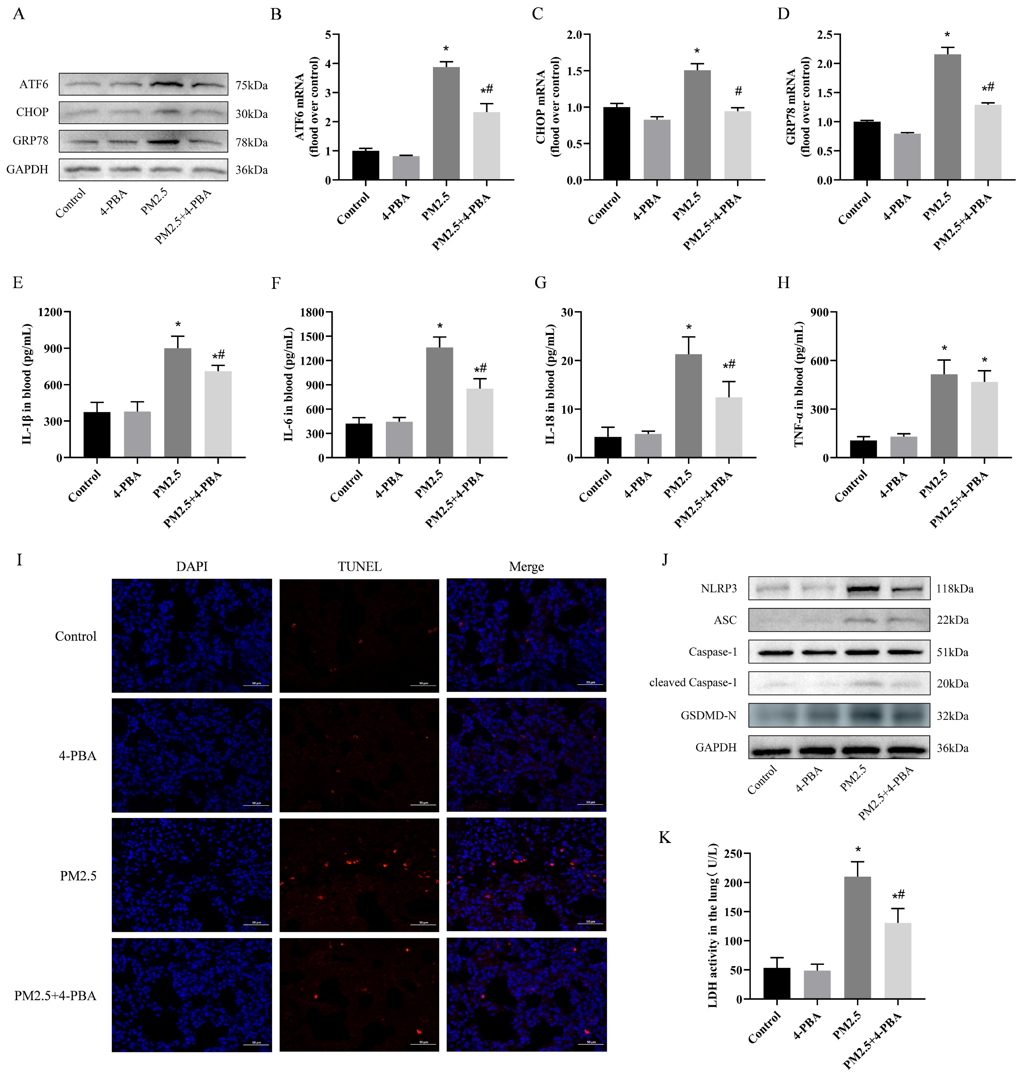 Biomolecules 14 01135 g002