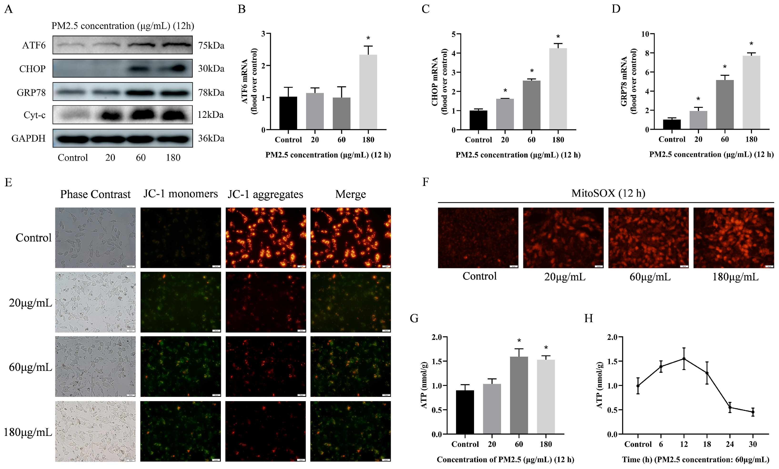 Biomolecules 14 01135 g004