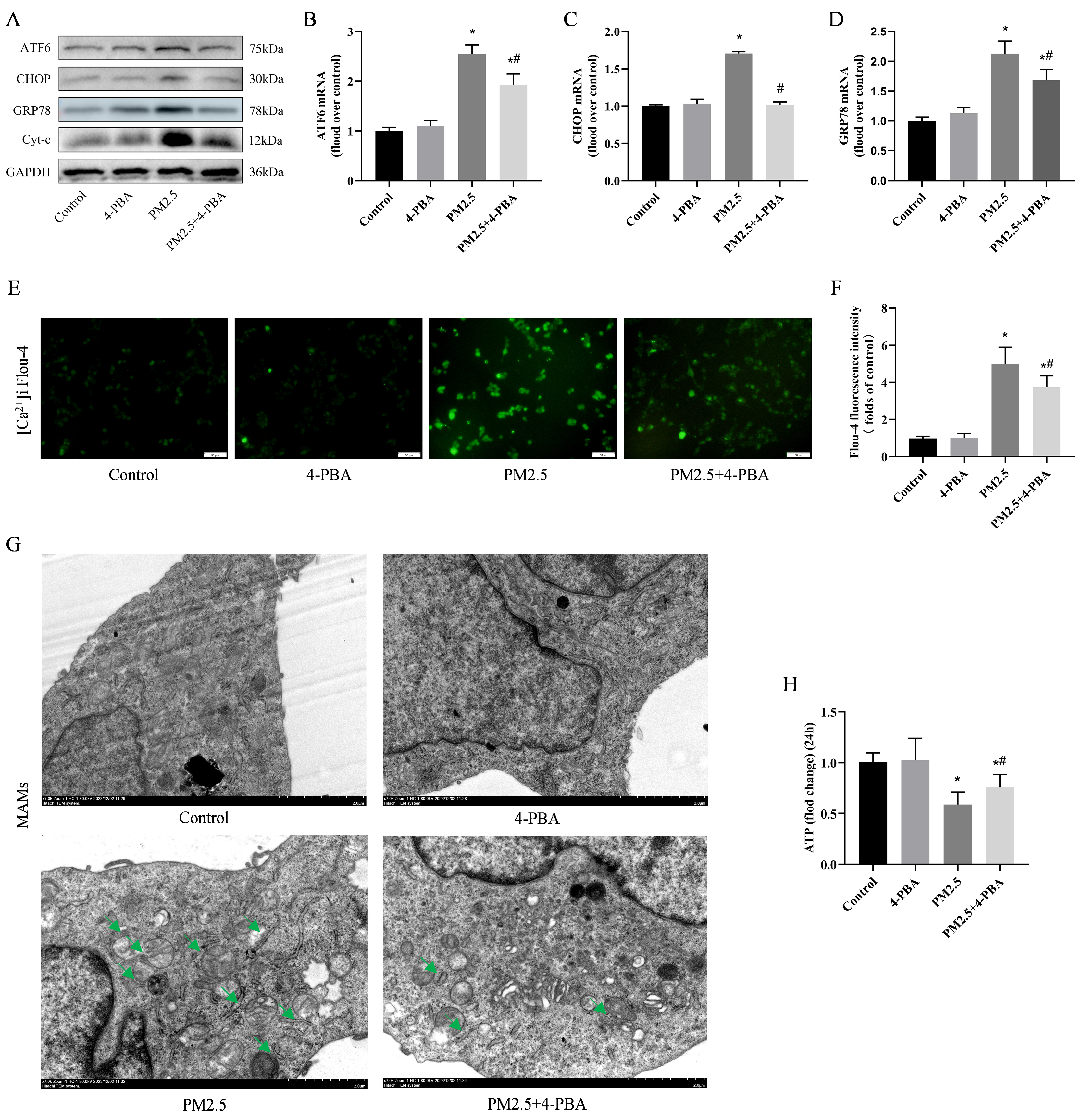 Biomolecules 14 01135 g005