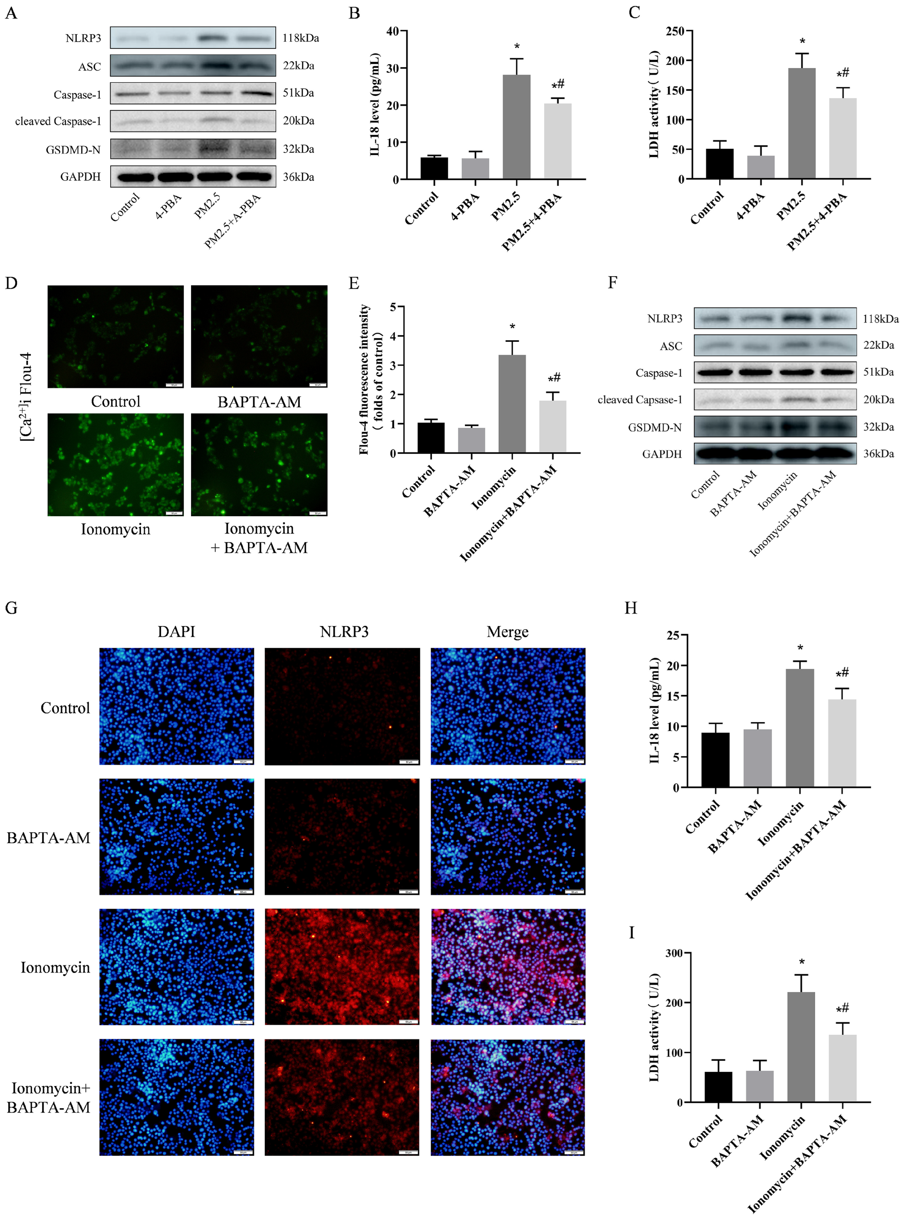 Biomolecules 14 01135 g006