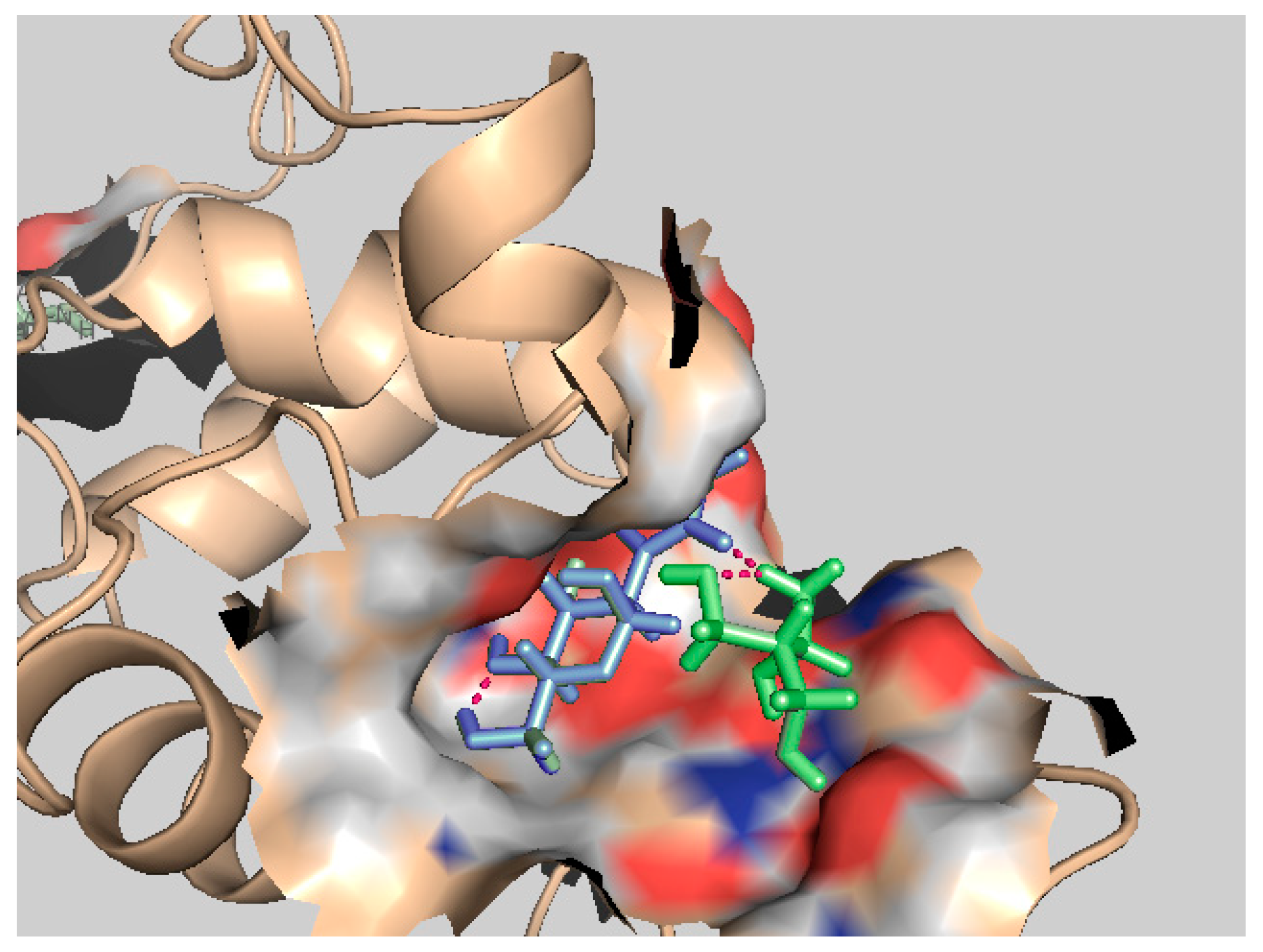 Biomolecules 14 01136 g004