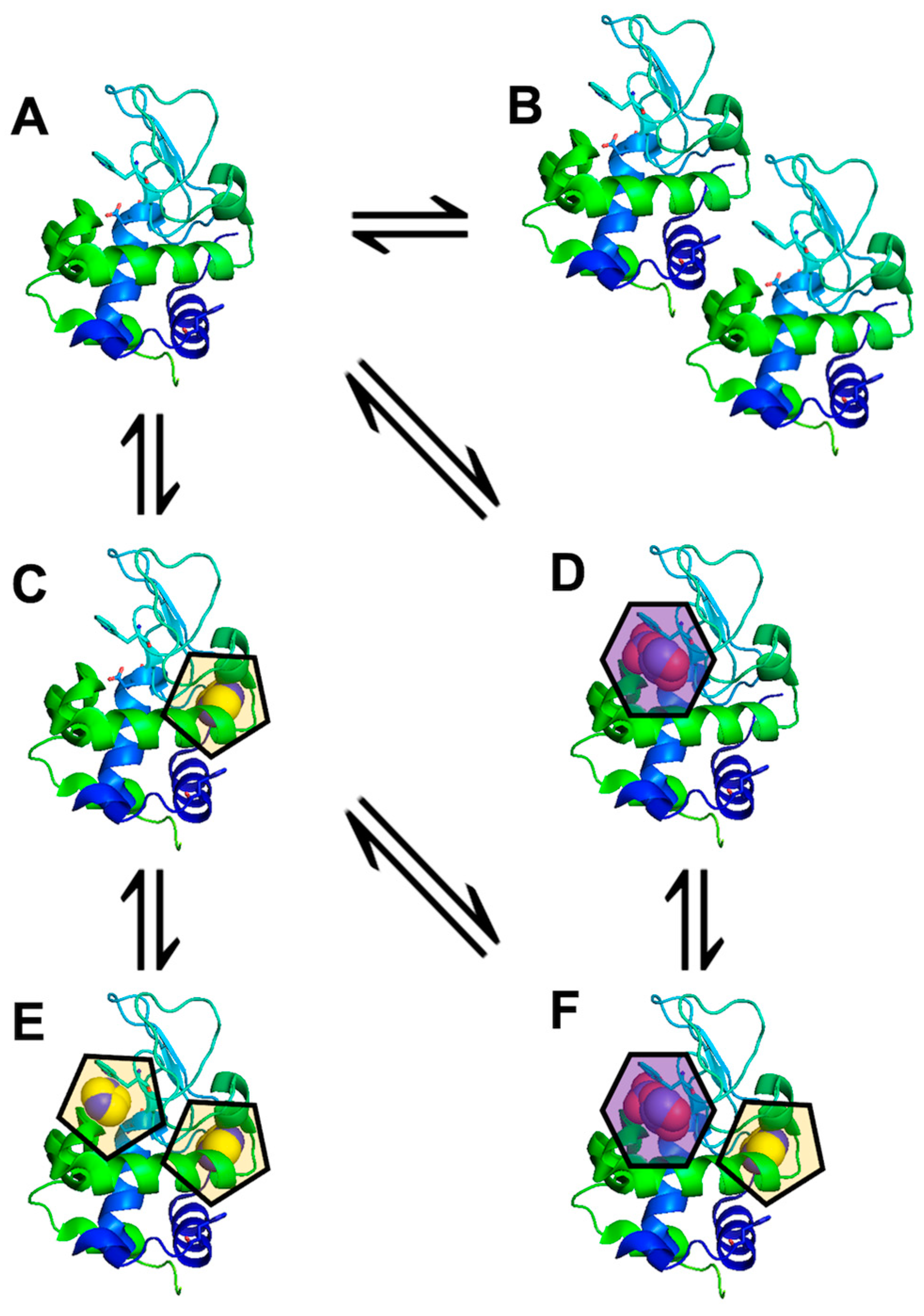 Biomolecules 14 01136 sch003