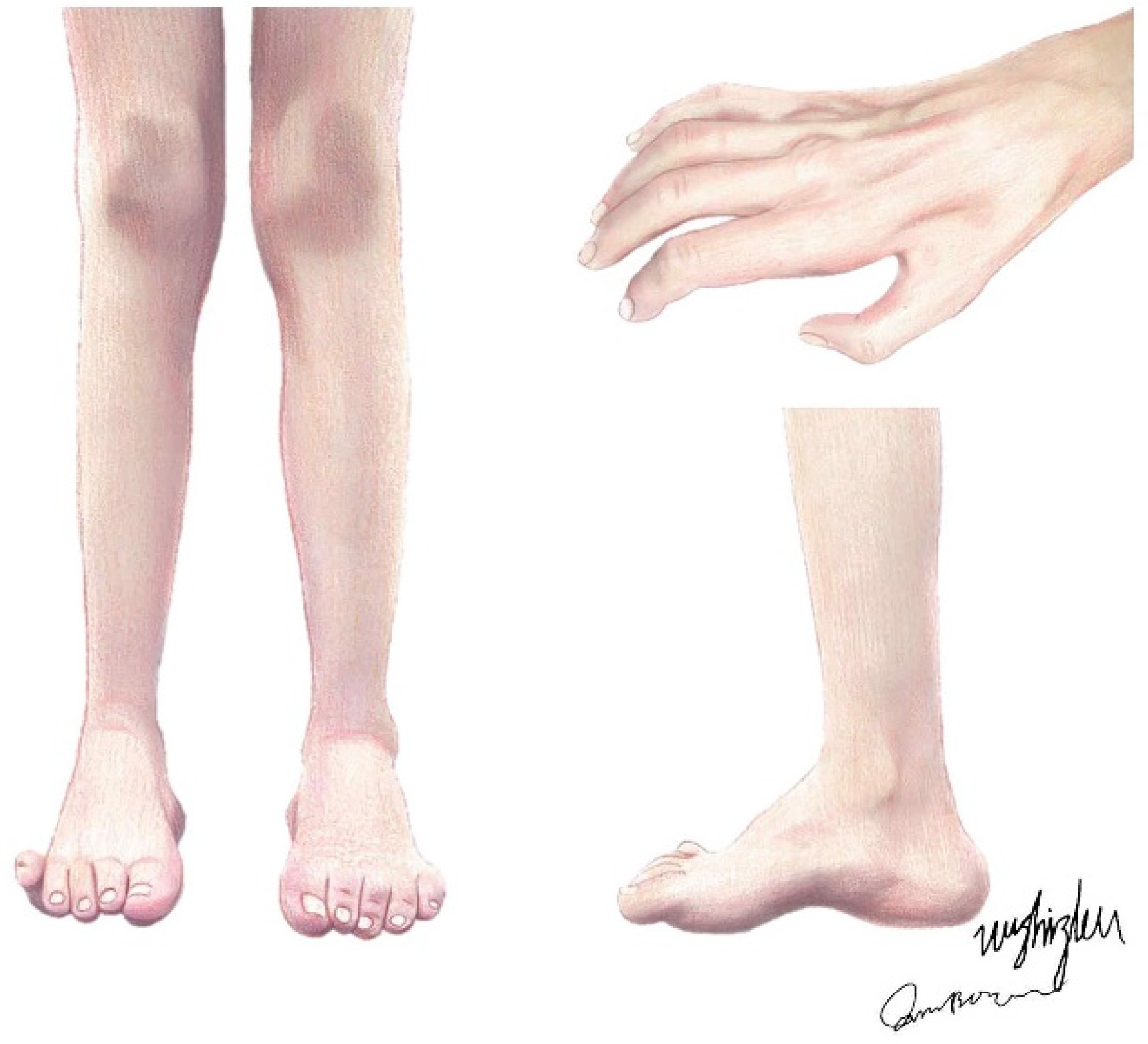 Biomolecules 14 01138 g001