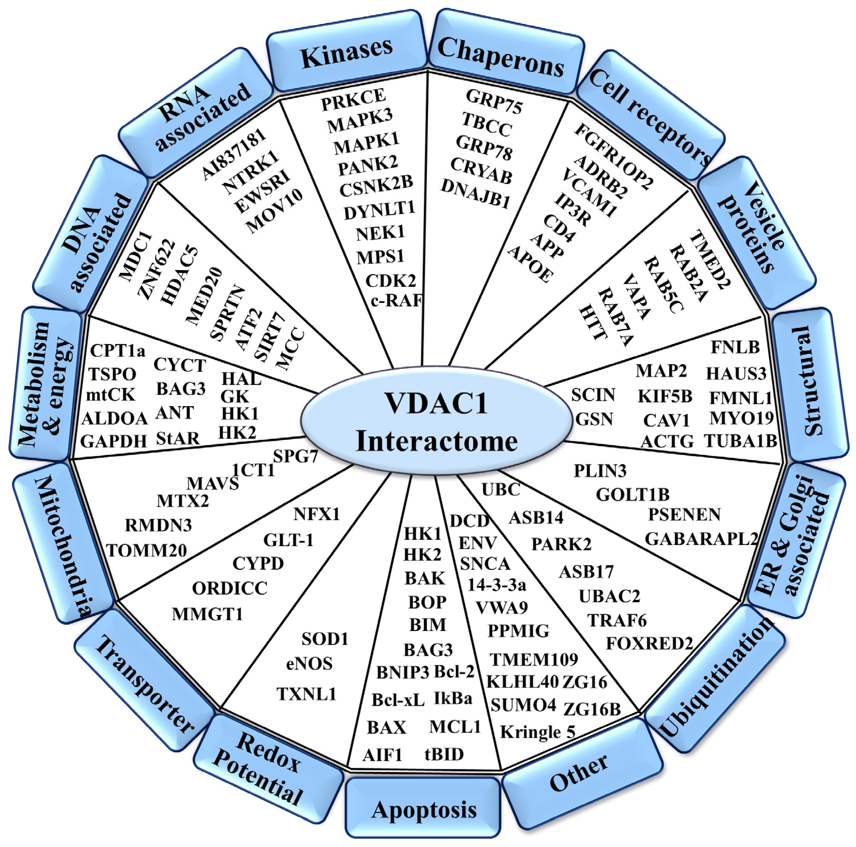 Biomolecules 14 01139 g001
