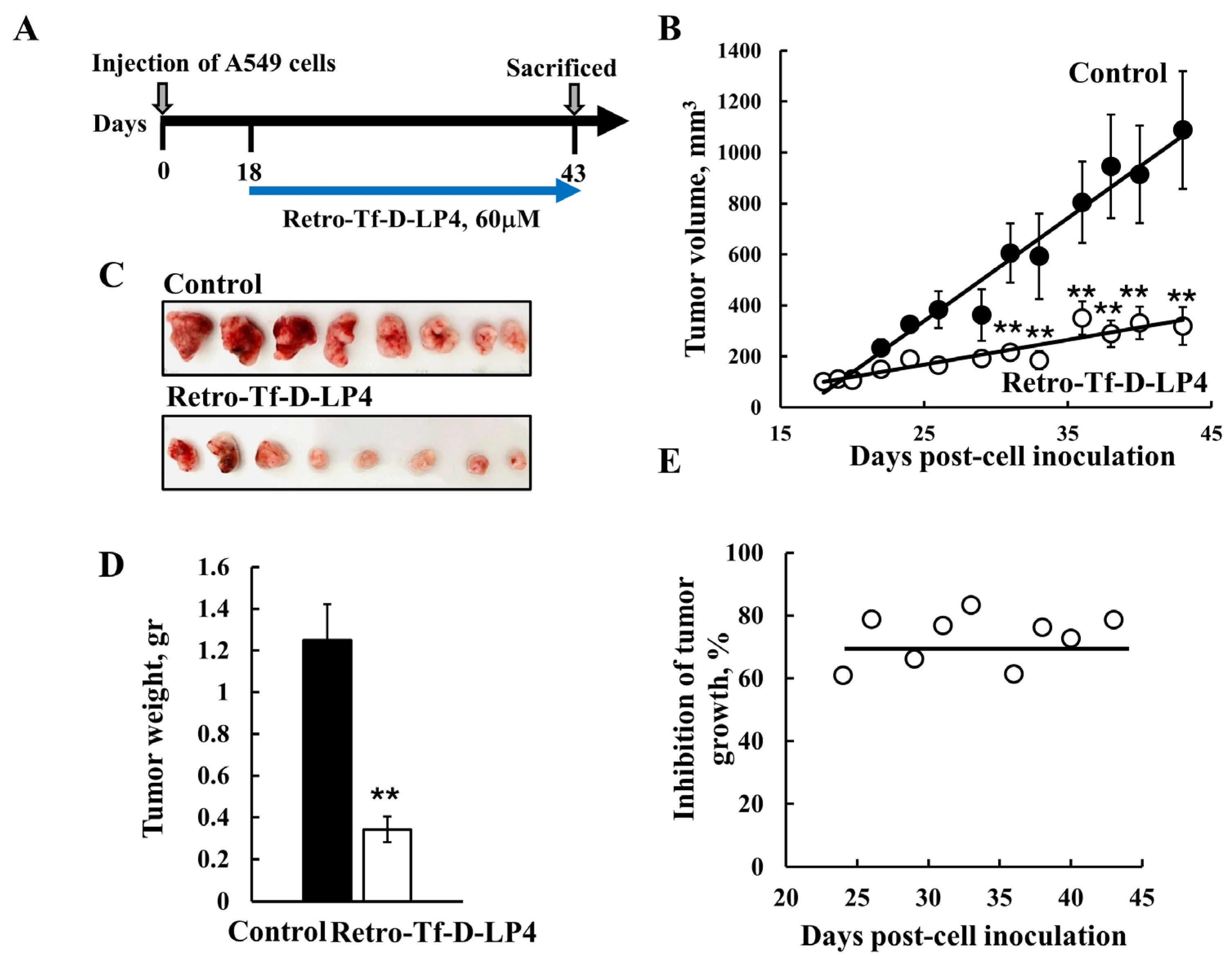 Biomolecules 14 01139 g006