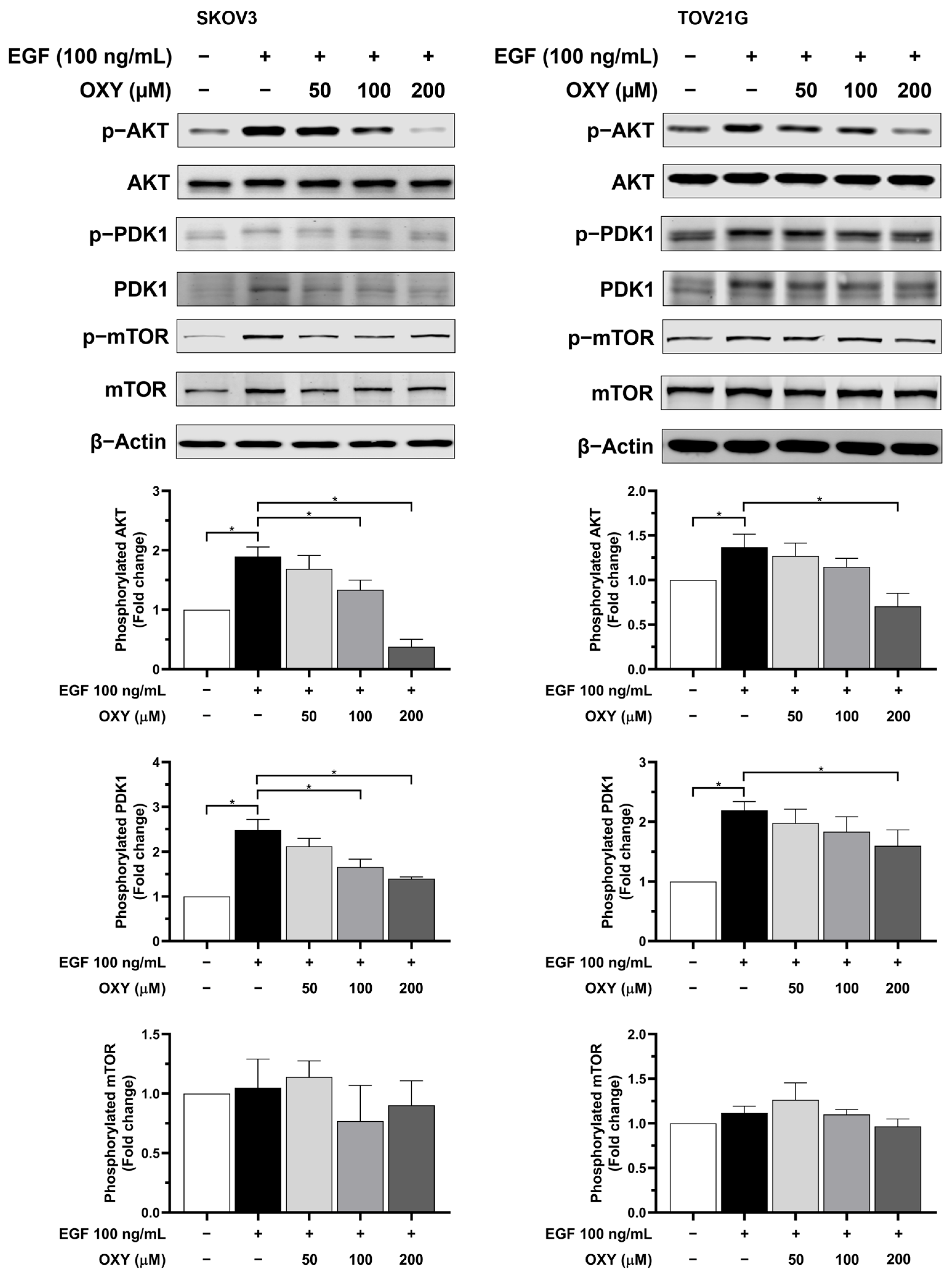 Biomolecules 14 01140 g006