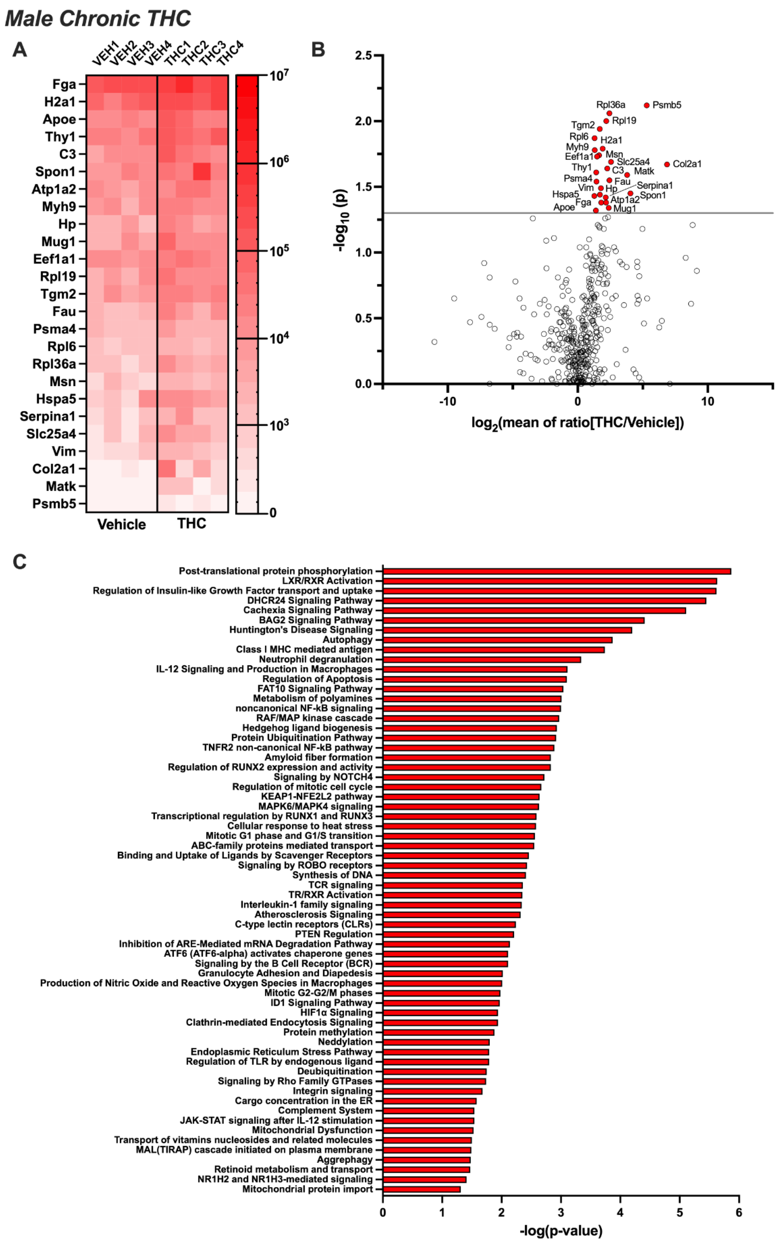 Biomolecules 14 01143 g003