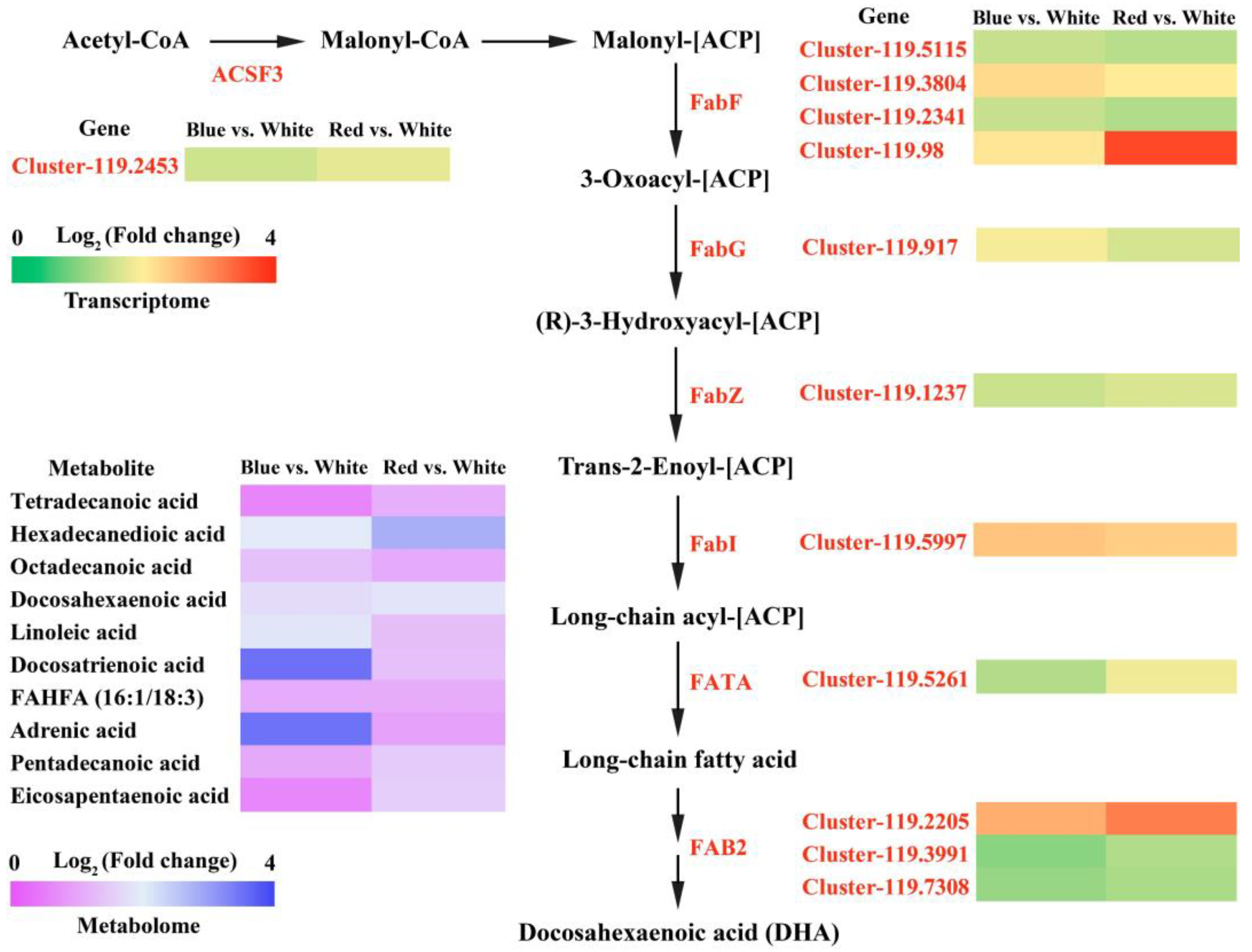 Biomolecules 14 01144 g005
