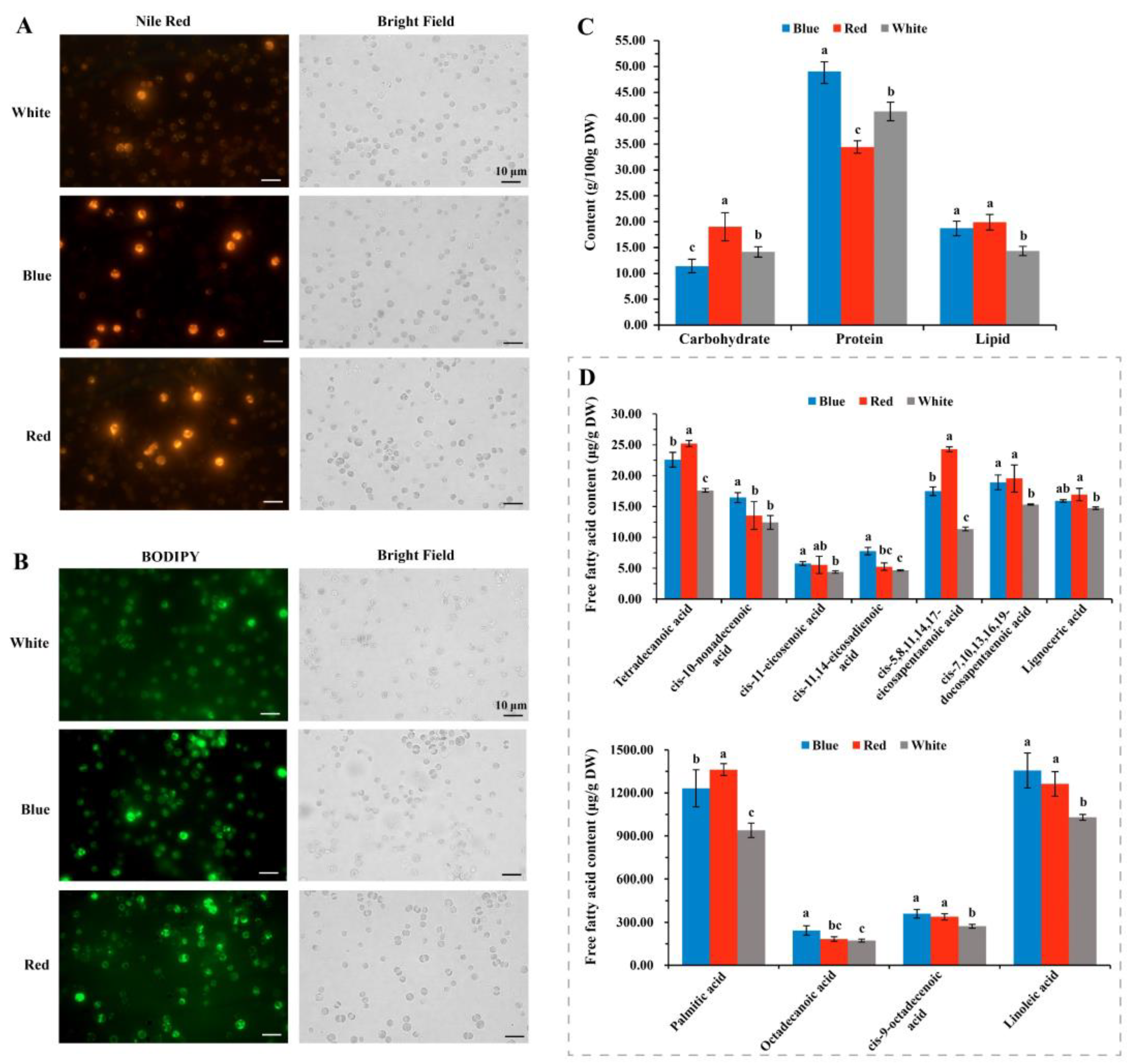 Biomolecules 14 01144 g006