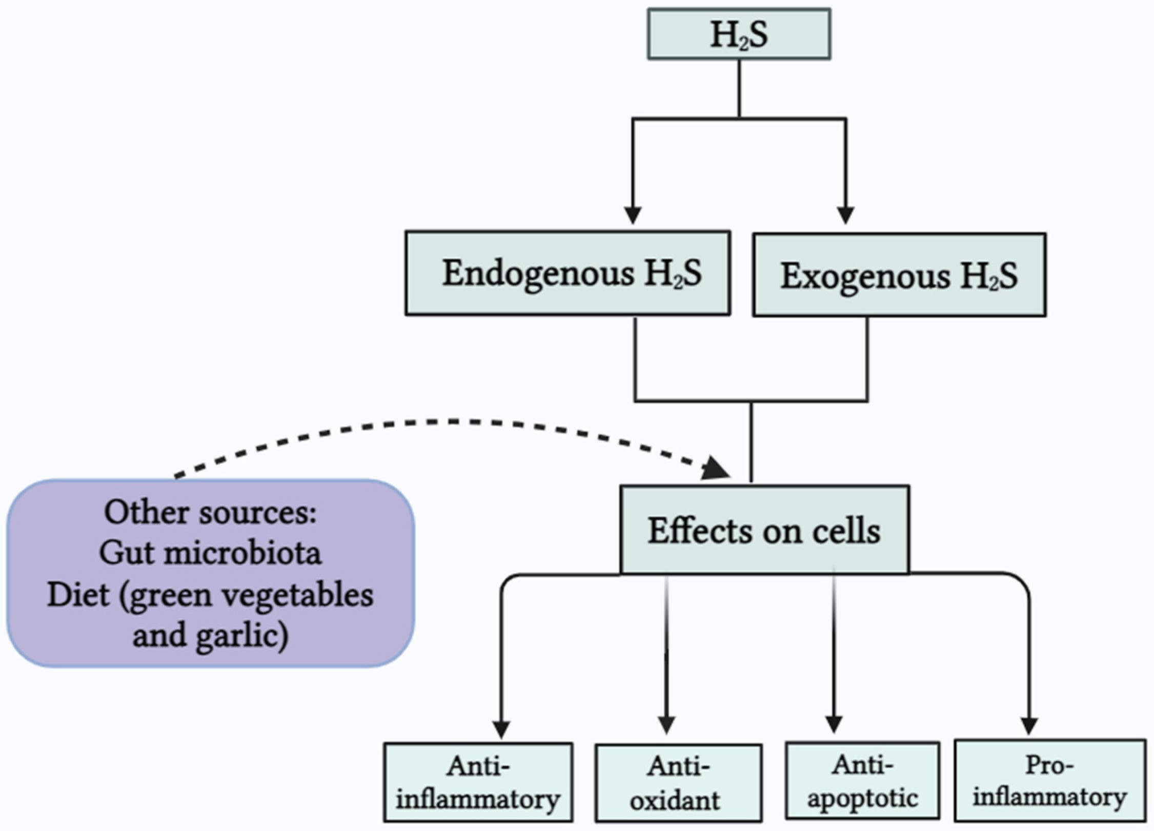 Biomolecules 14 01145 g002 Biomolecules 14 01145 g002