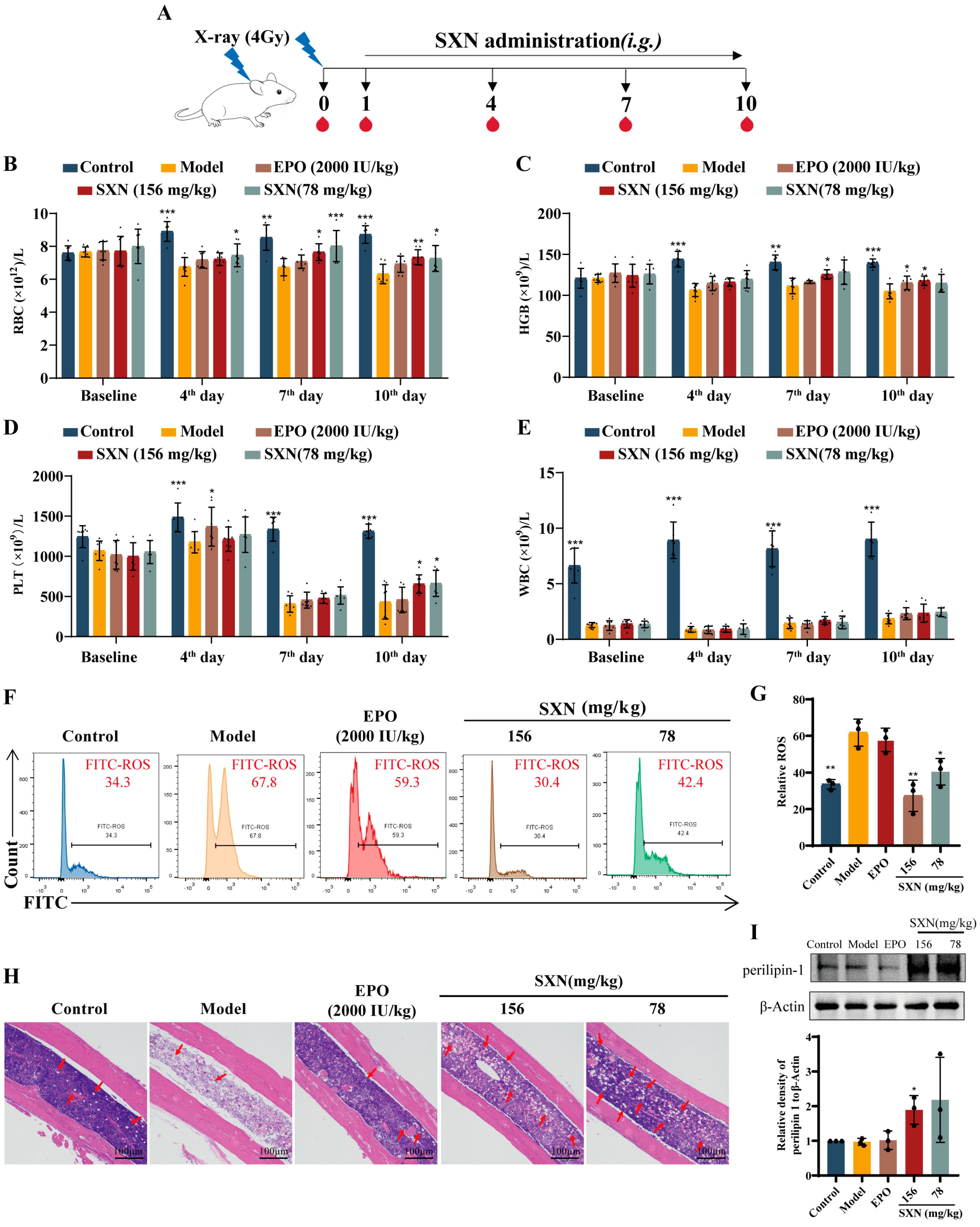Biomolecules 14 01147 g001