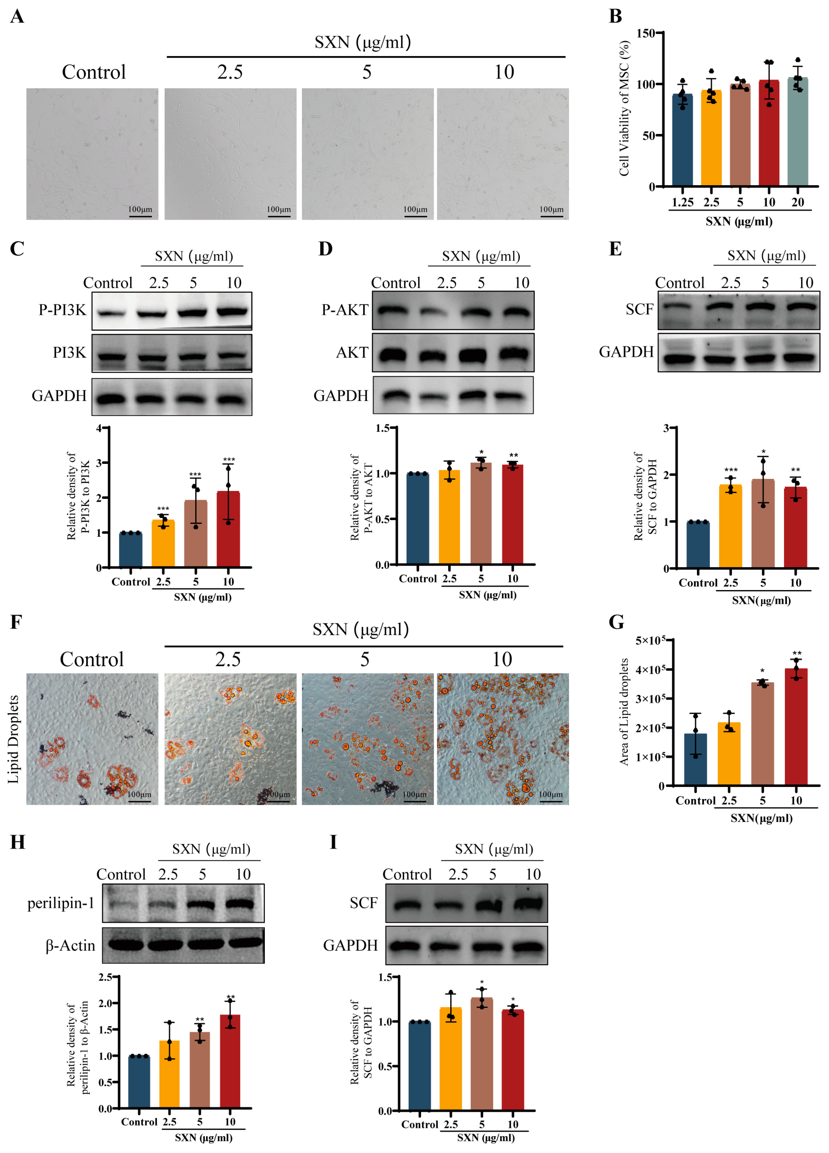 Biomolecules 14 01147 g007