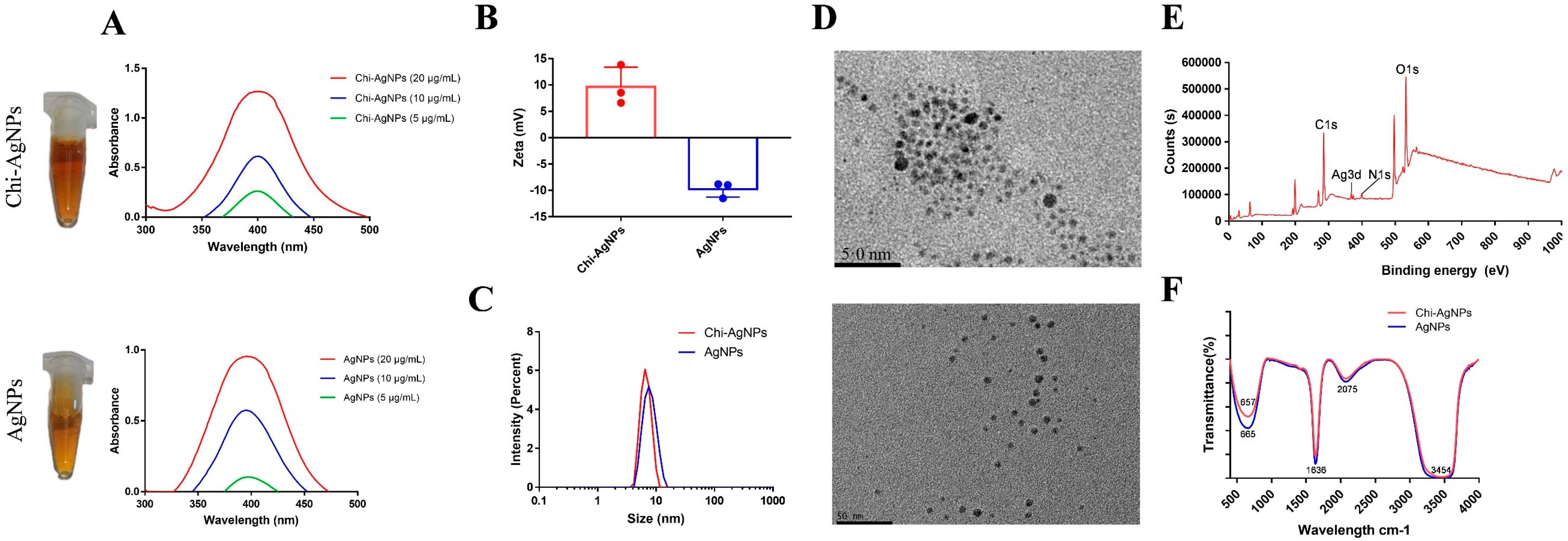Biomolecules 14 01152 g001