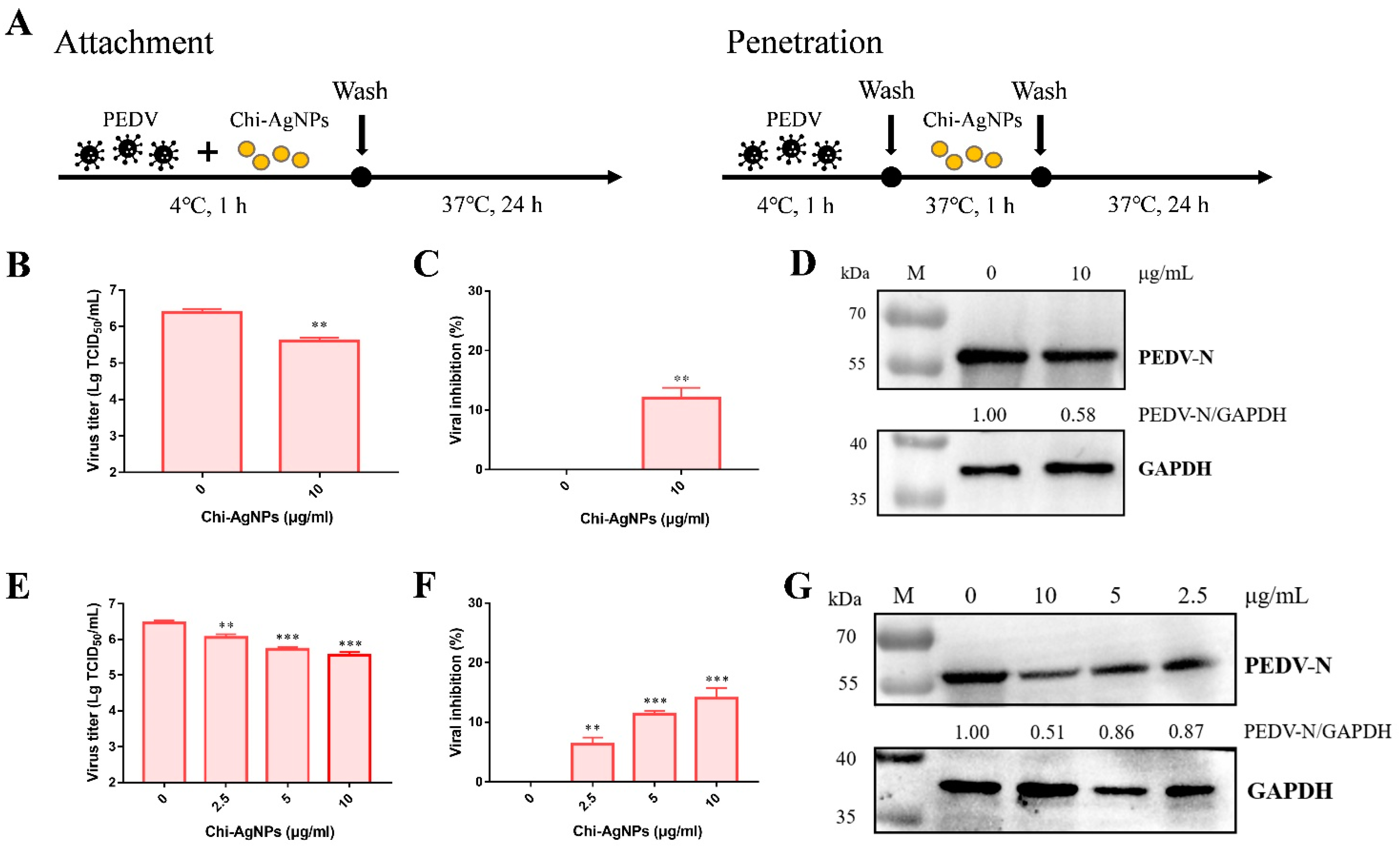 Biomolecules 14 01152 g006