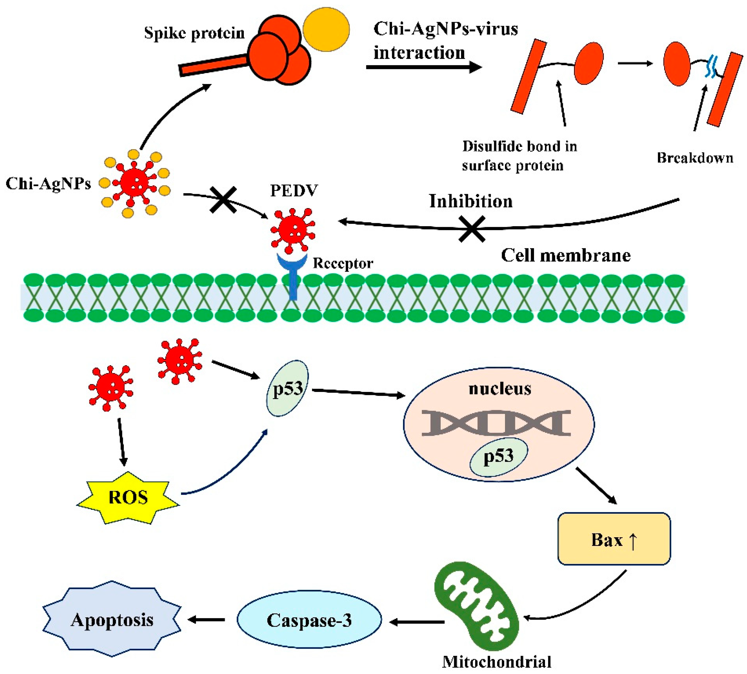 Biomolecules 14 01152 sch001