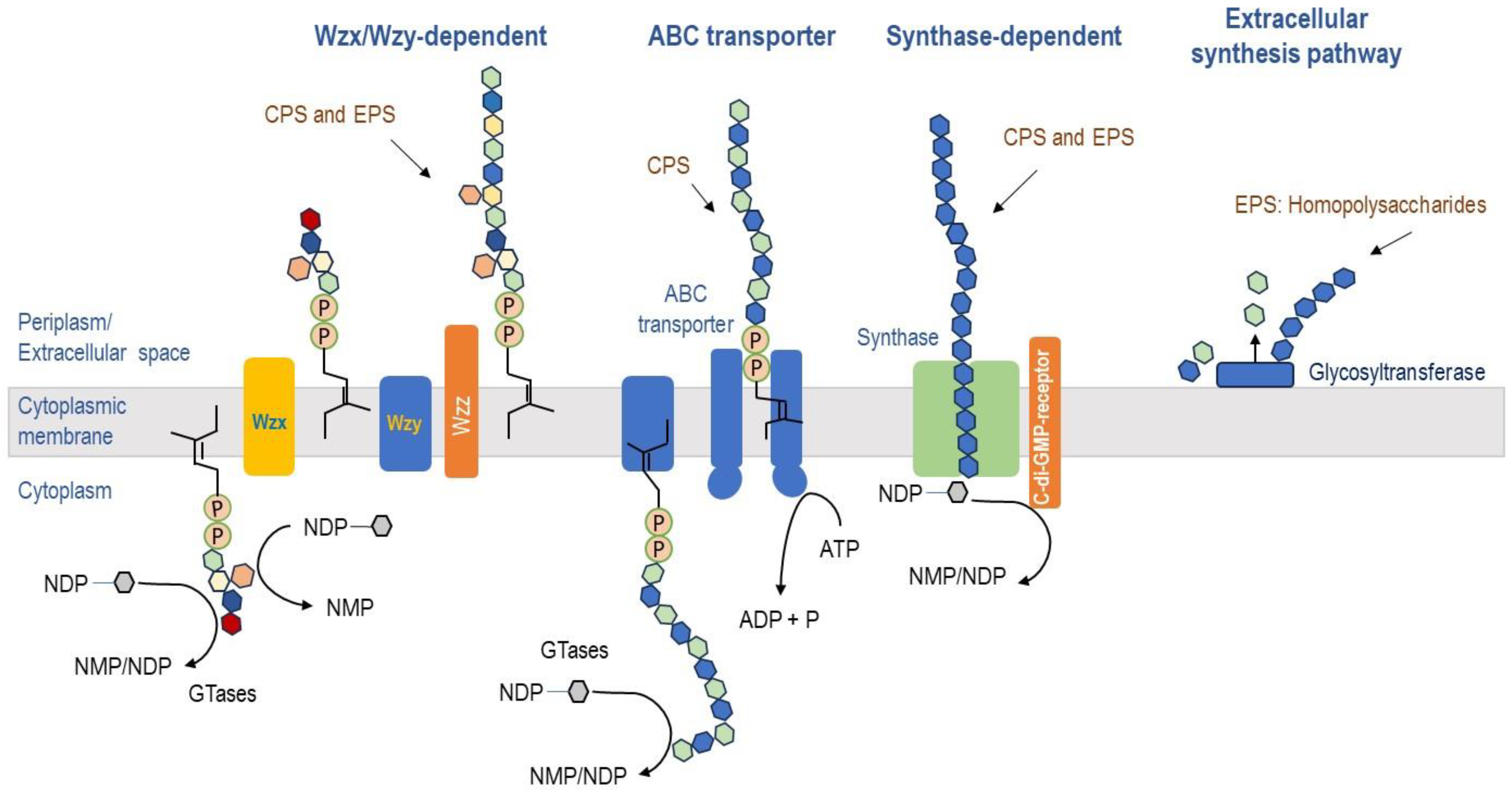 Biomolecules 14 01162 g002