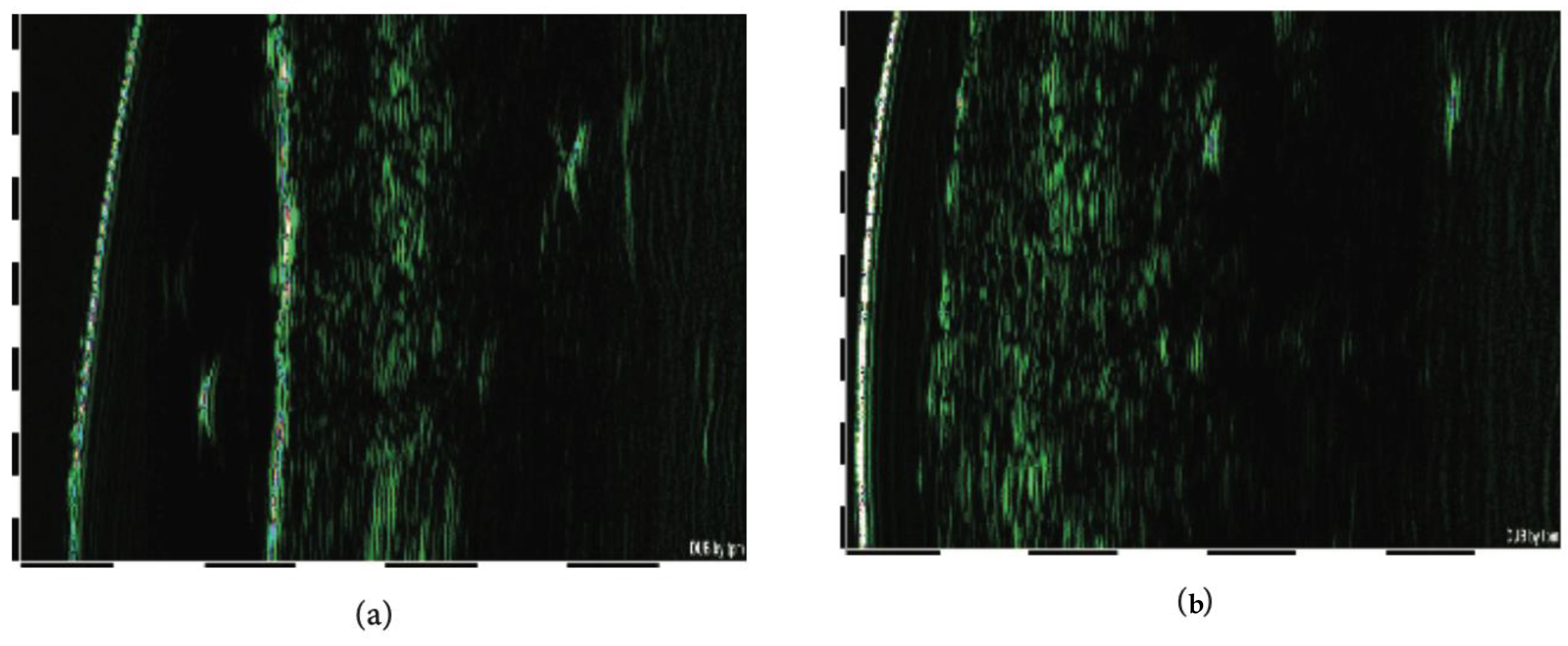 Biomolecules 14 01176 g005