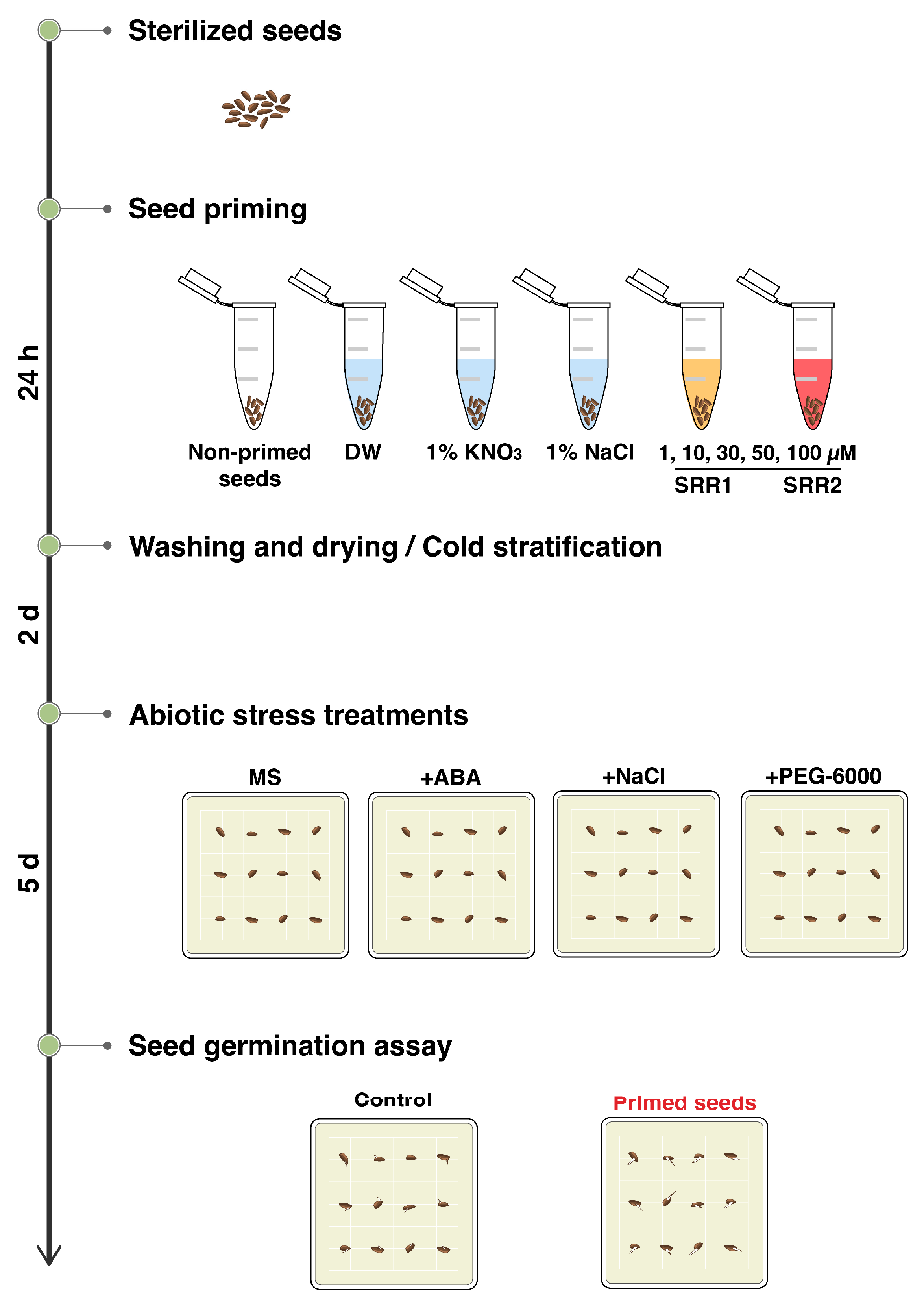 Biomolecules 14 01177 g006