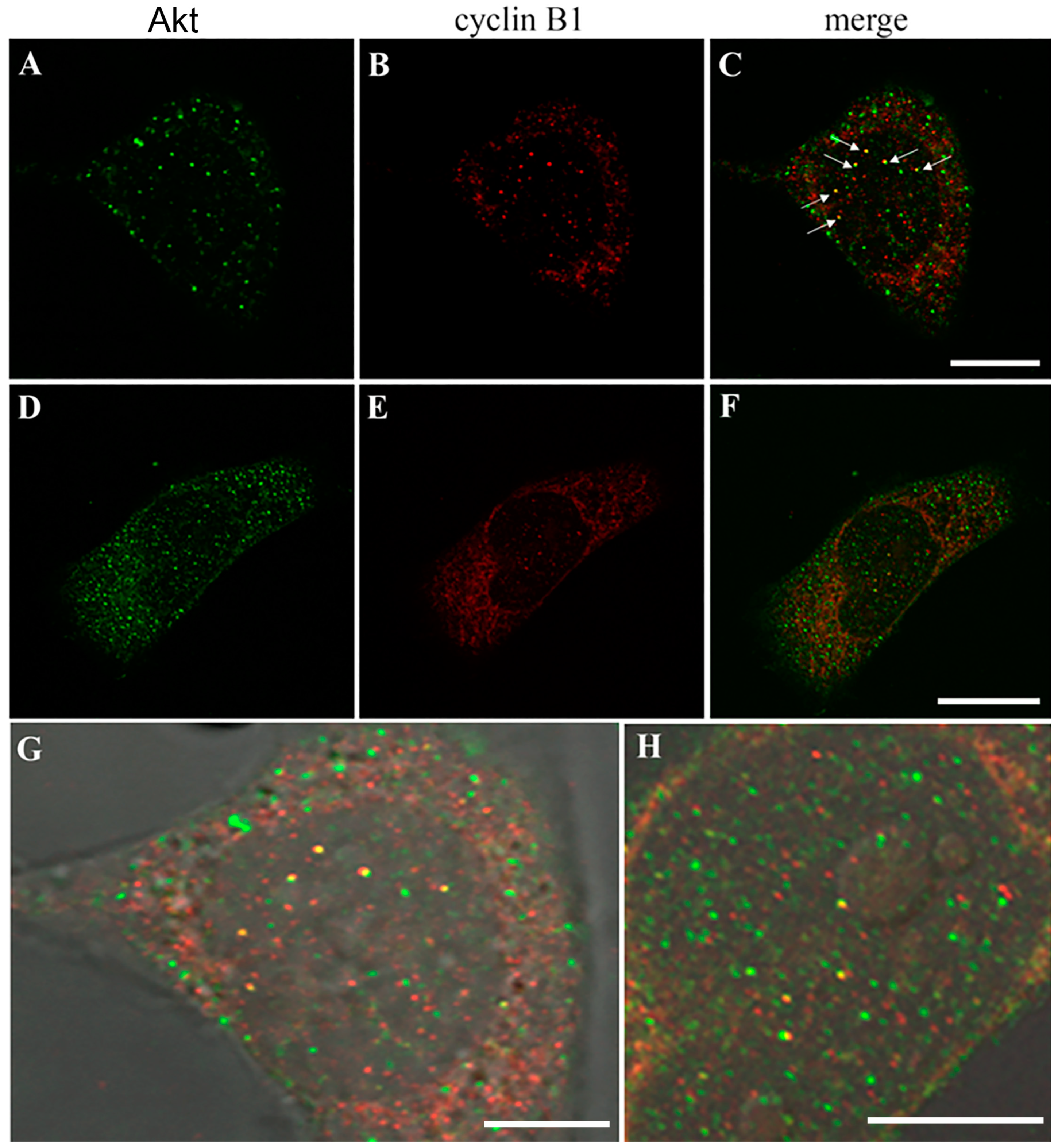 Biomolecules 14 01180 g006