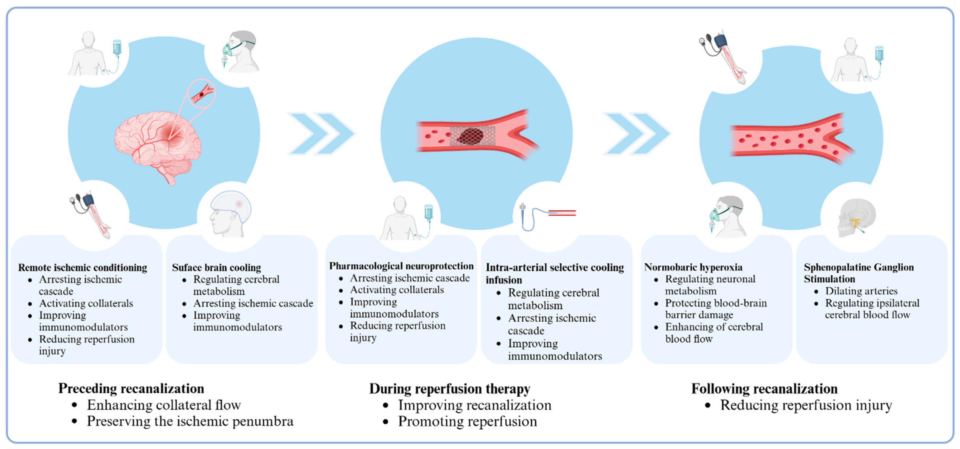 Biomolecules 14 01181 g001