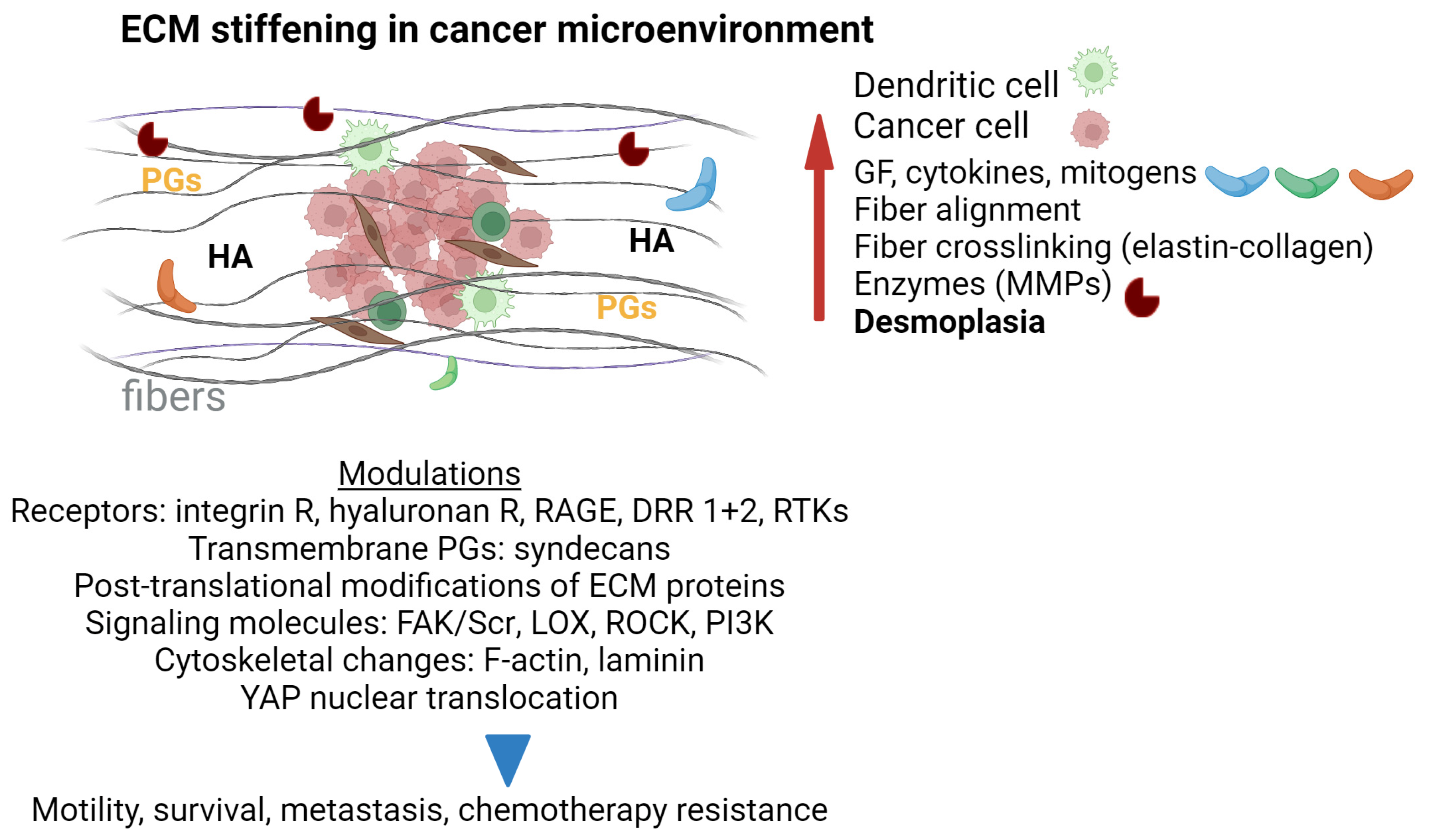 Biomolecules 14 01186 g006
