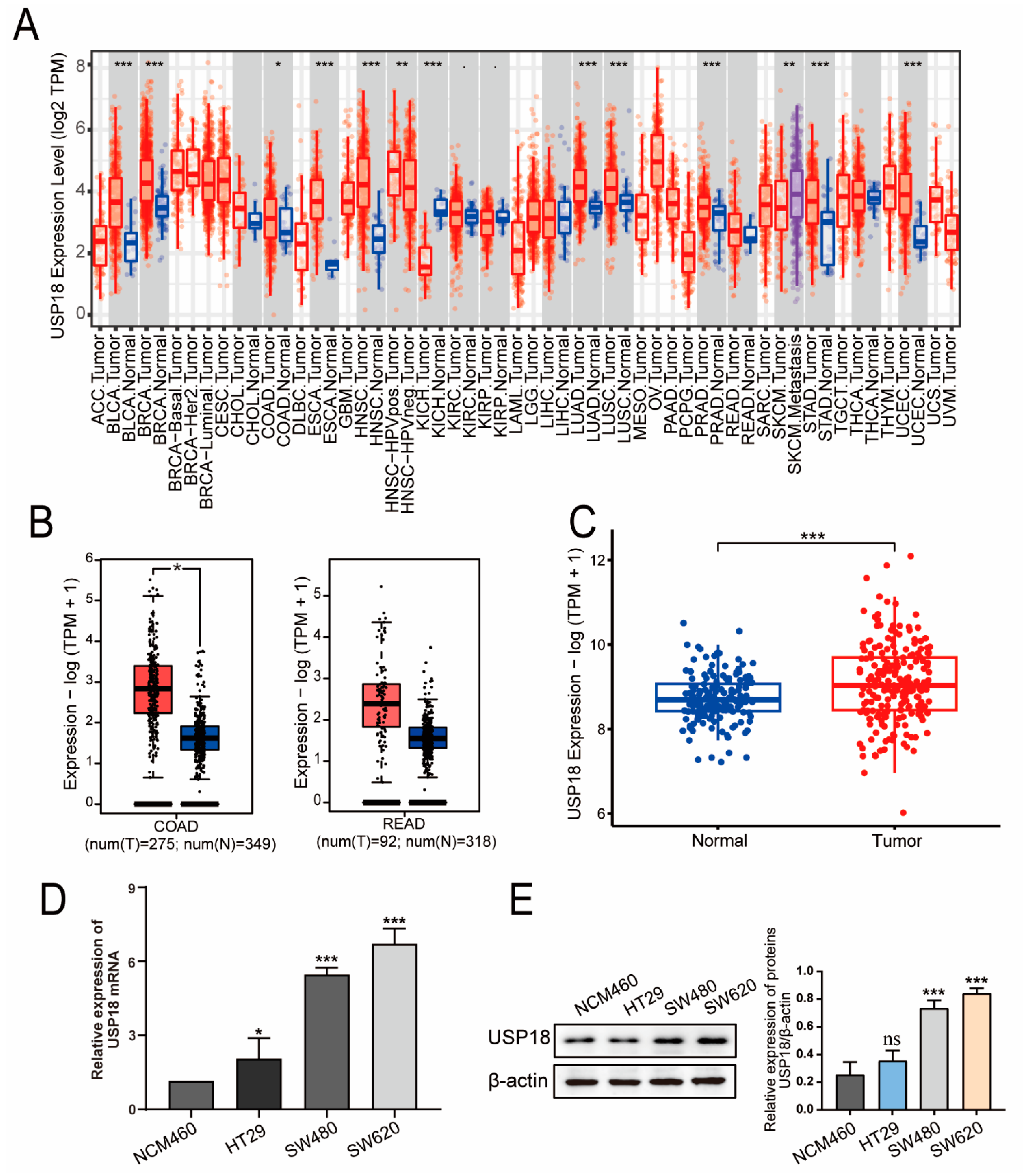 Biomolecules 14 01191 g001