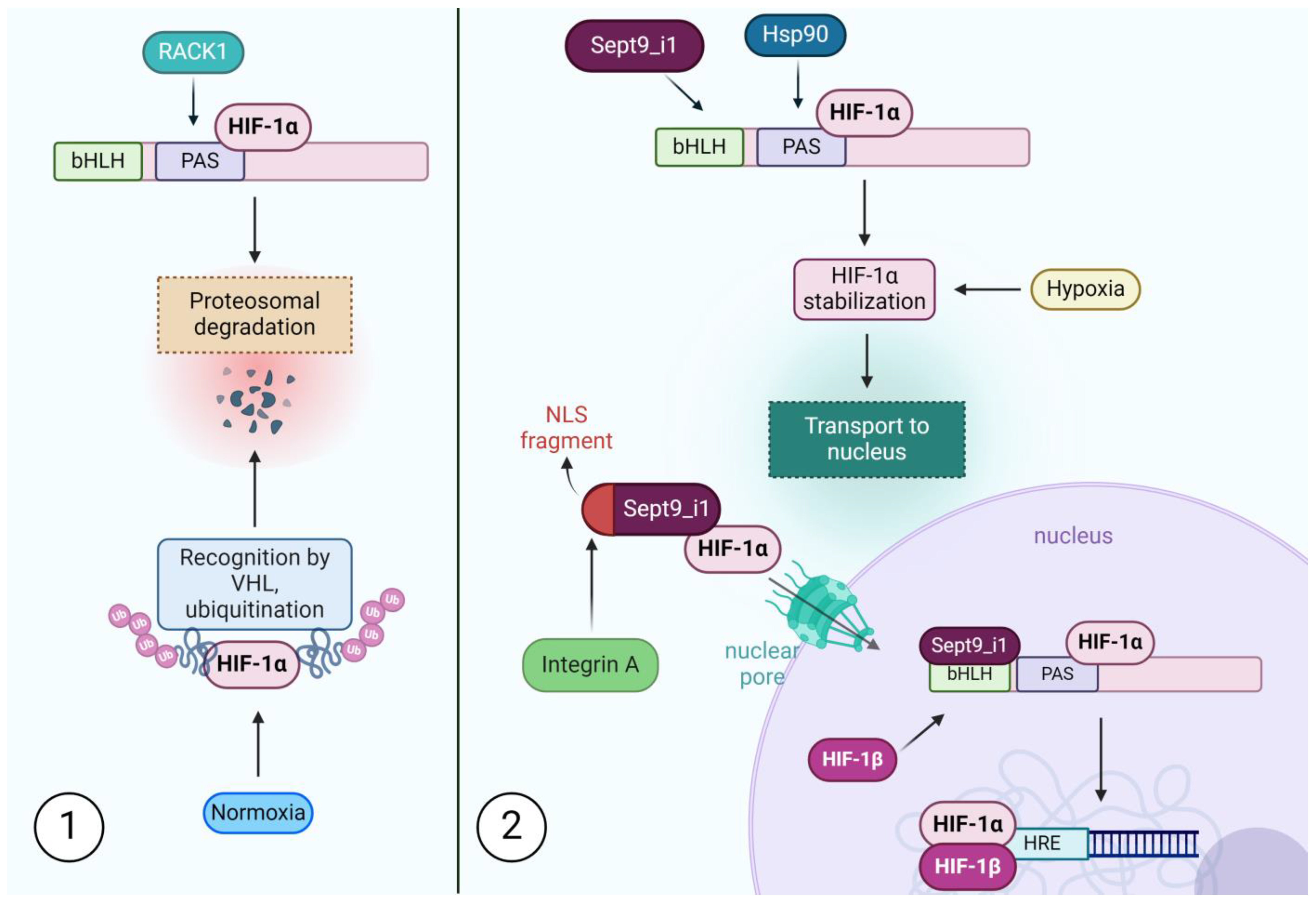 Biomolecules 14 01194 g003